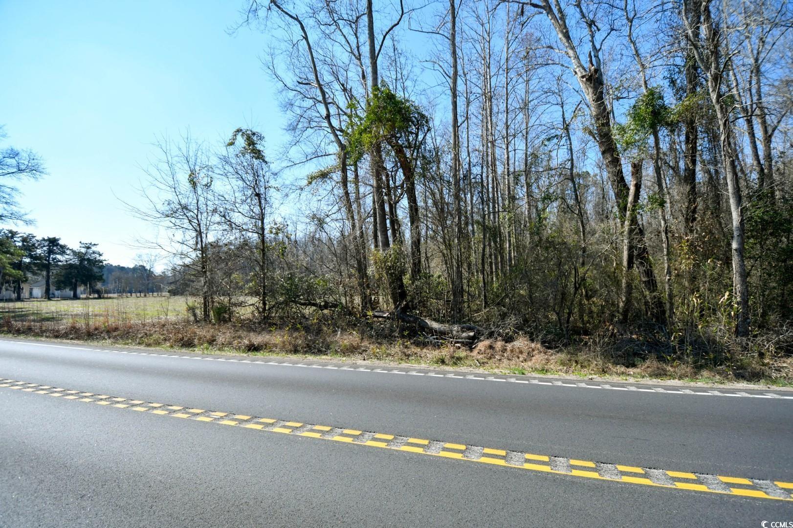 2940 Red Bluff Rd., Loris, South Carolina image 3