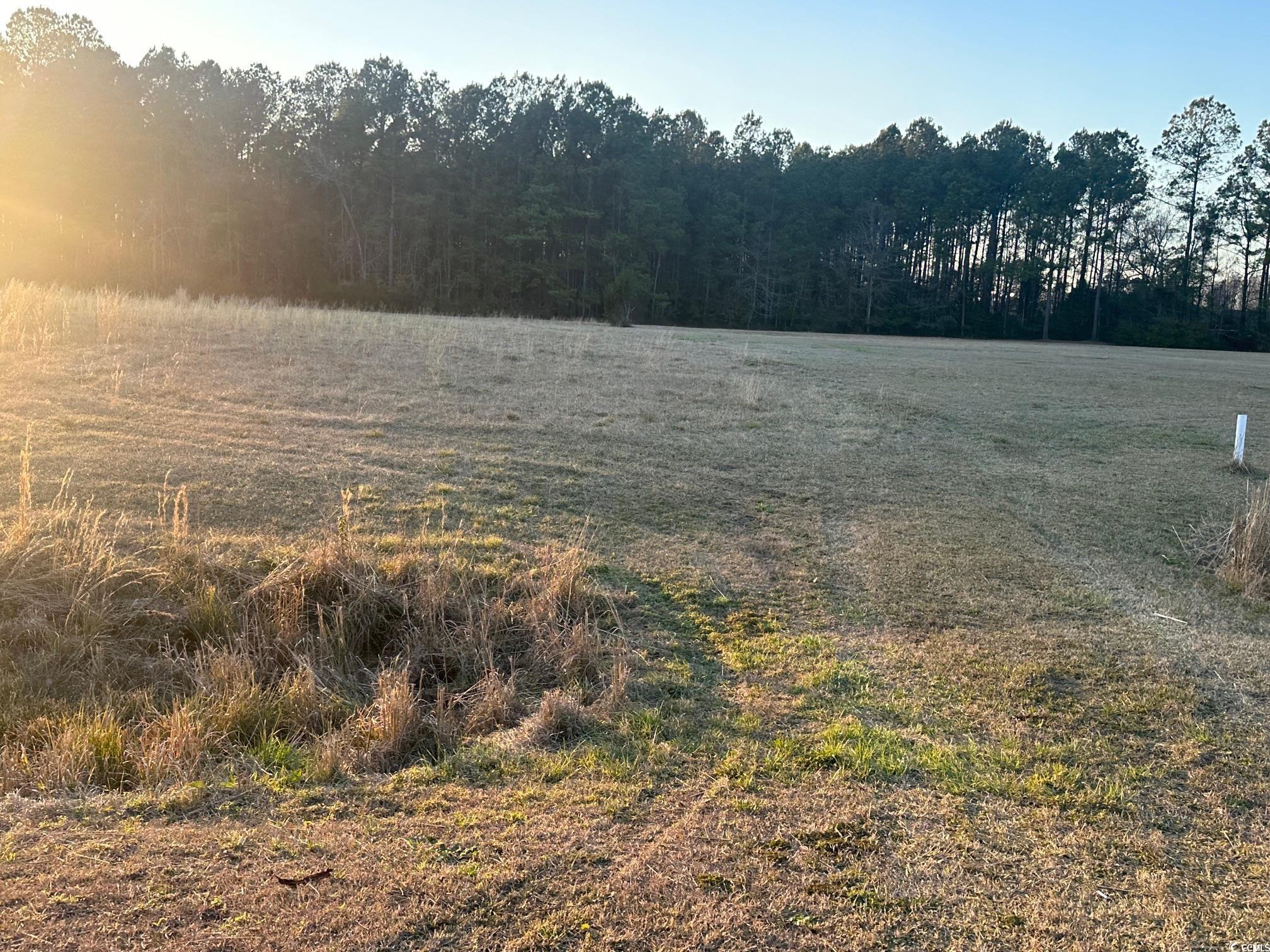 TBD S Joe Brown Hwy., Tabor City, North Carolina image 8