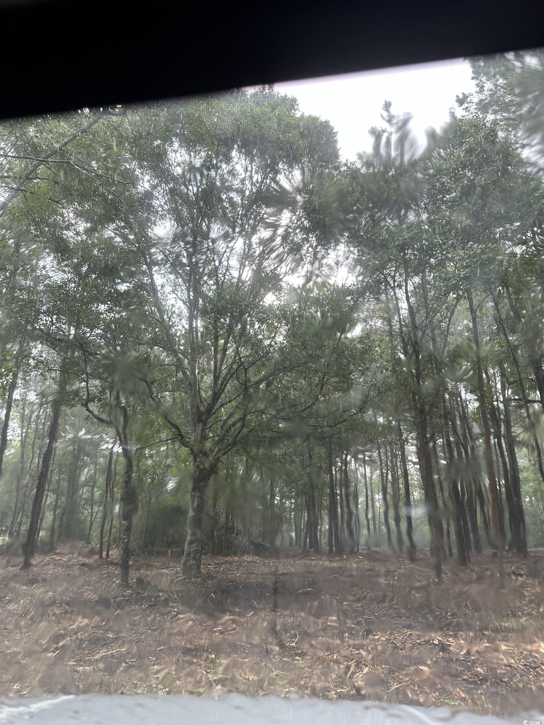 Tbd Allen Dew Rd., Conway, South Carolina image 1