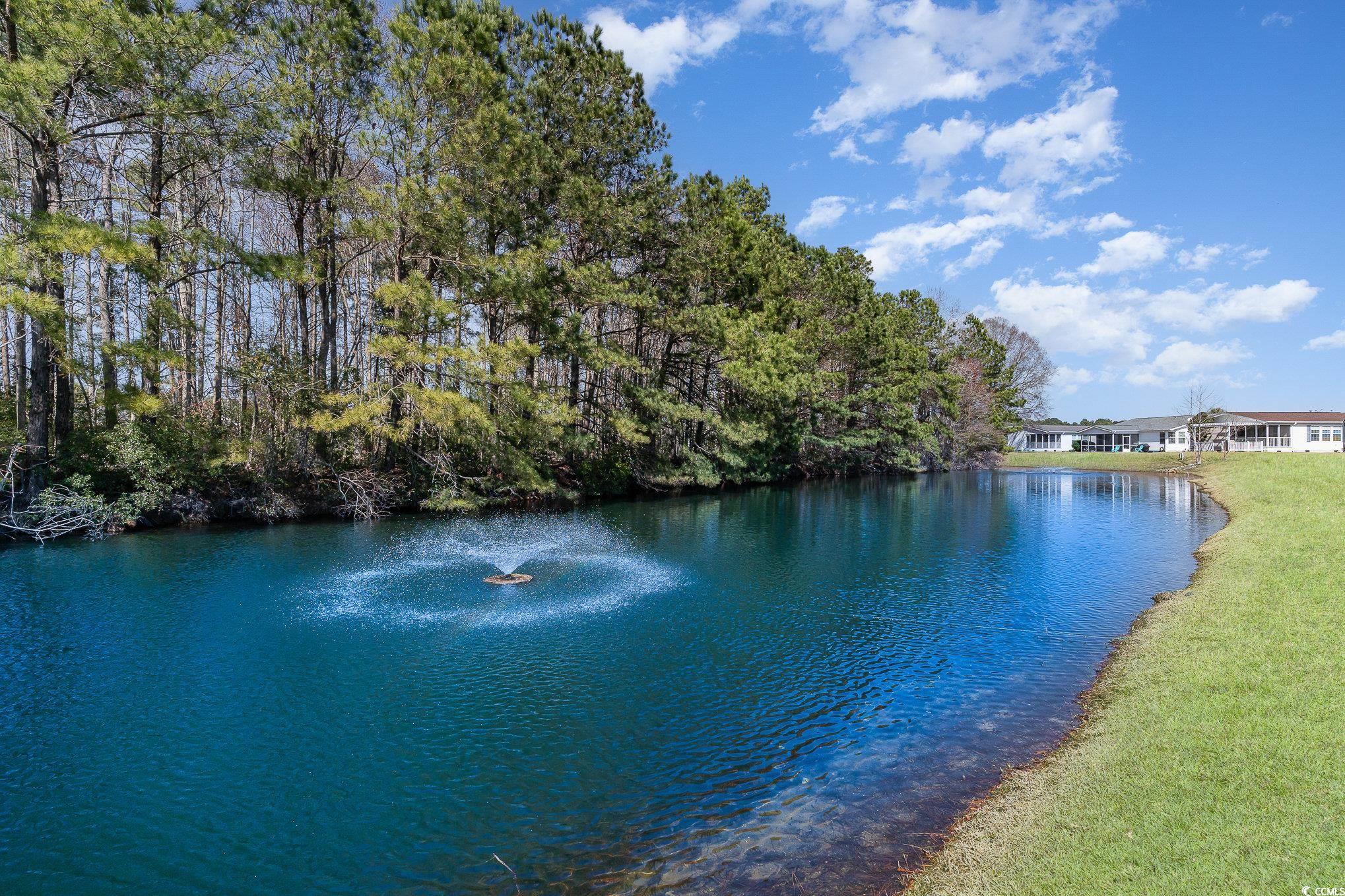 631 Lake Estates Ct., Conway, South Carolina image 32