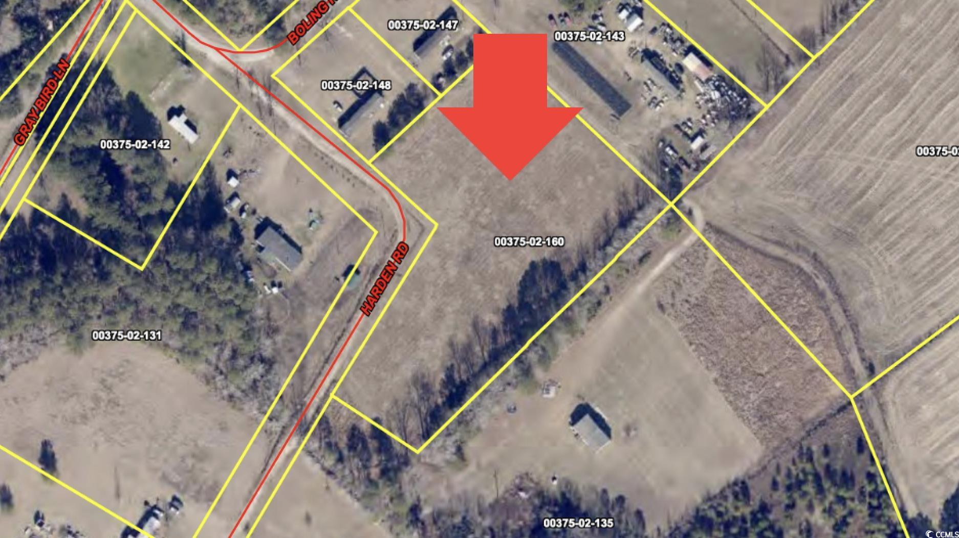 TBD Harden Rd. Pamplico, SC 29583