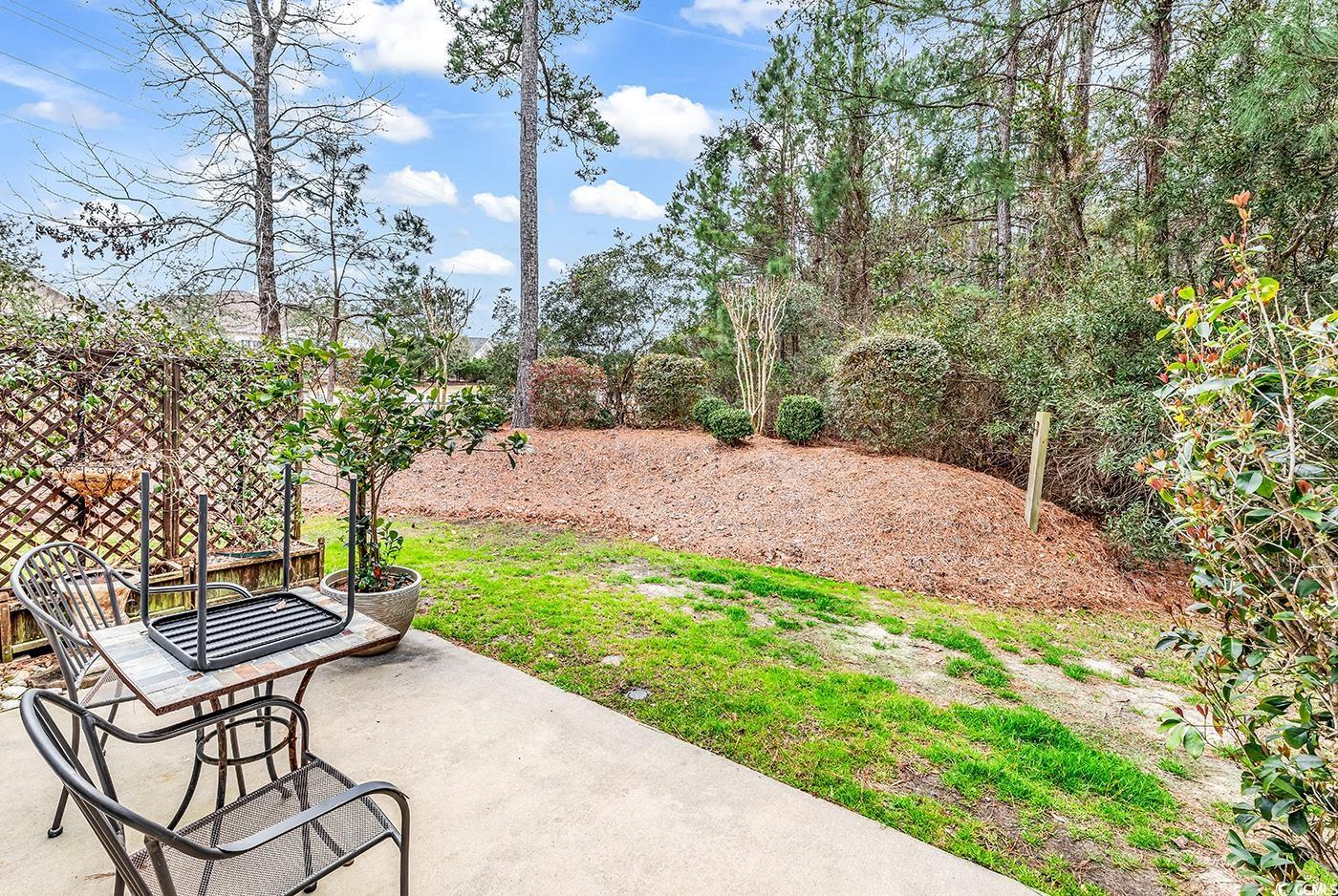 1018 Red Sky Ln. #101, Murrells Inlet, South Carolina image 33