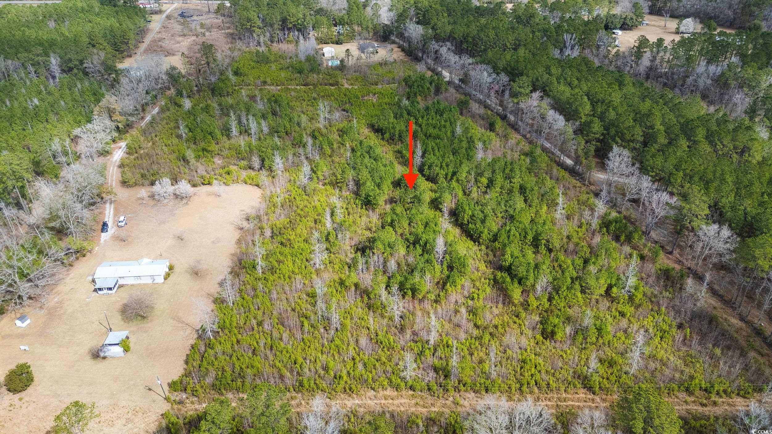 TBD Dusty Circle Andrews, SC 29510
