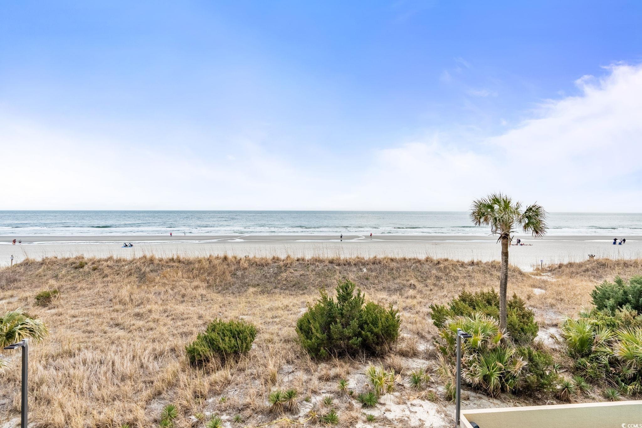 4800 S Ocean Blvd. #204, North Myrtle Beach, South Carolina image 35