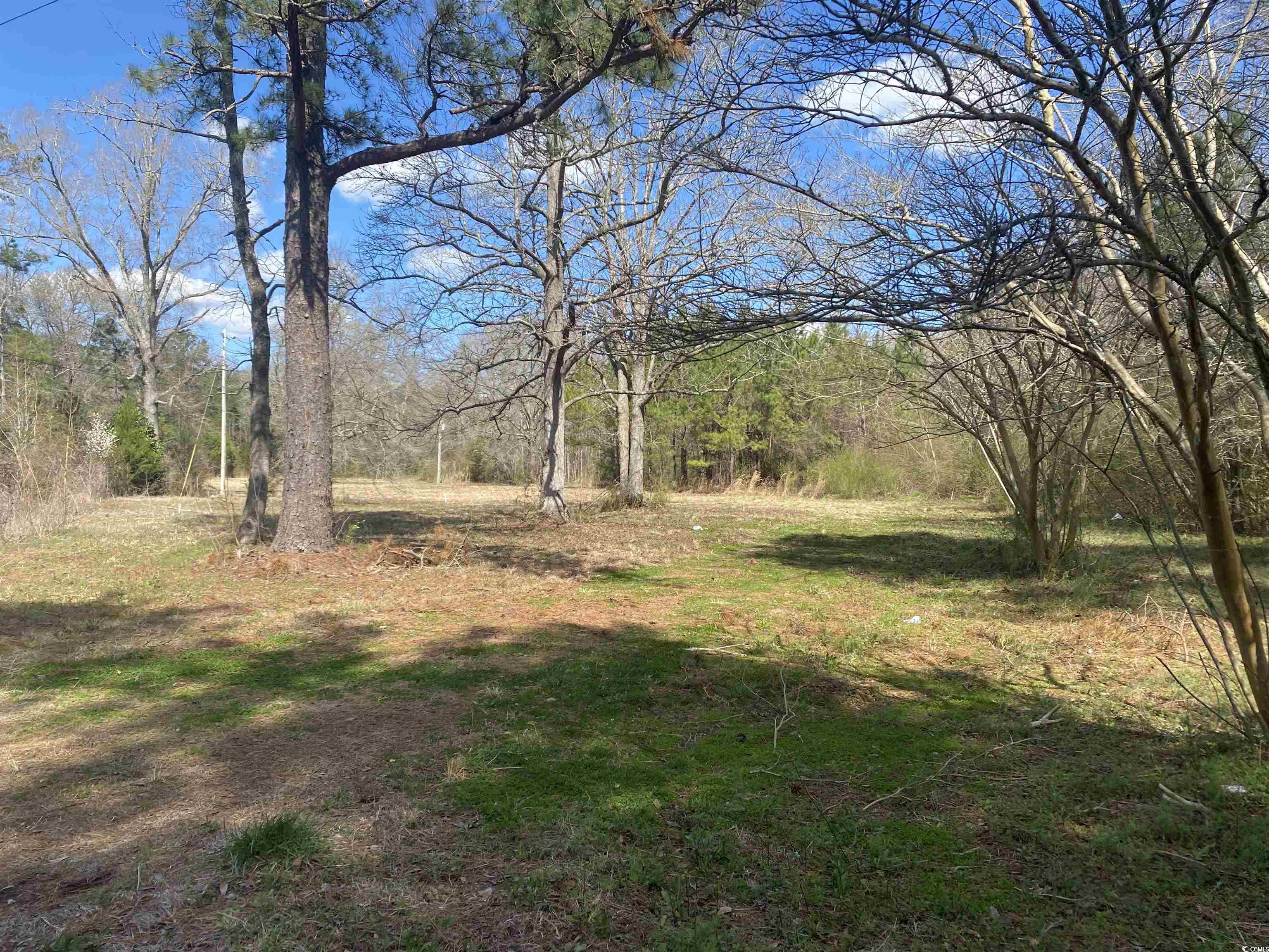 81 Freedom Rd. Andrews, SC 29510