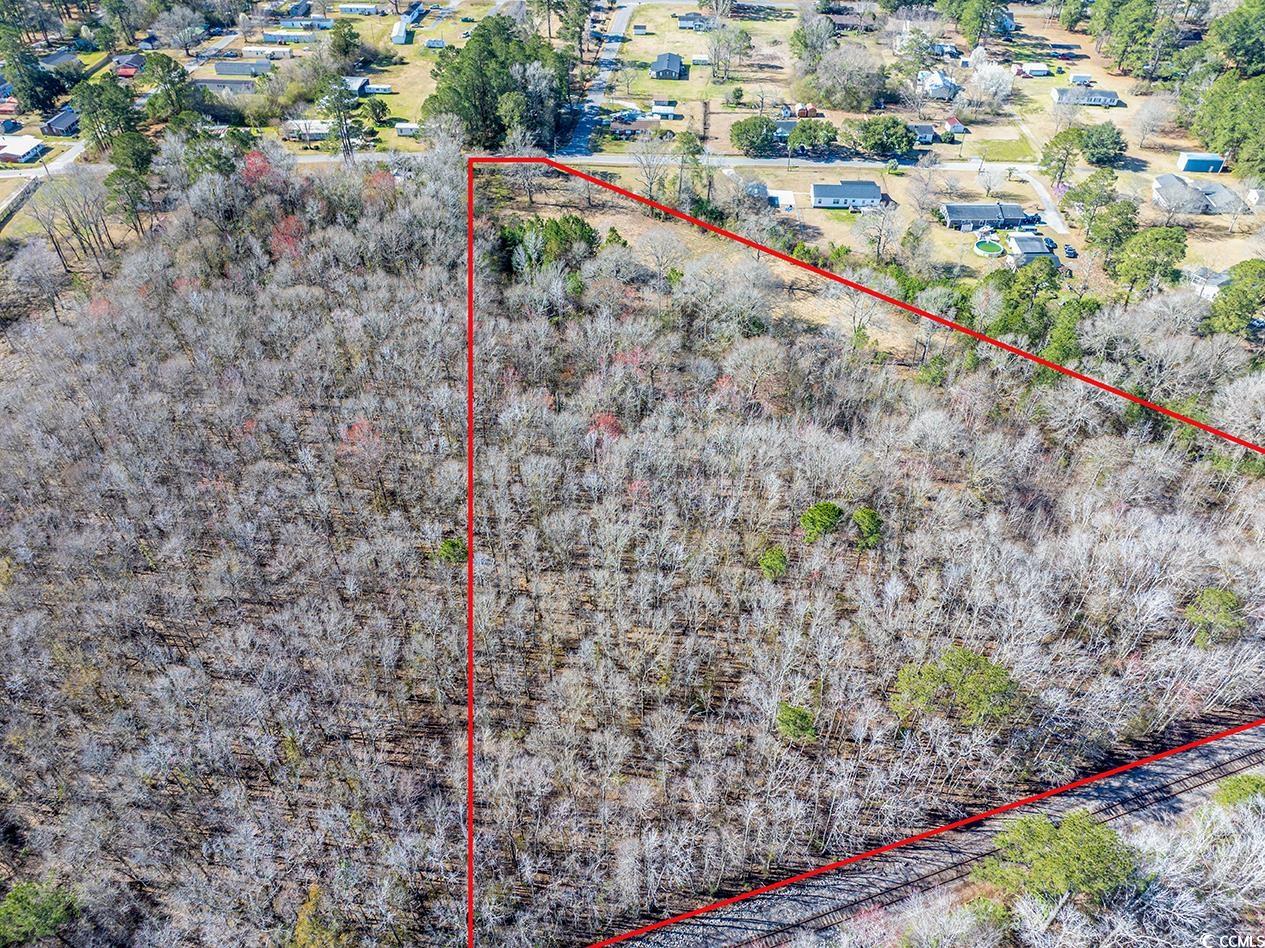 81 Freedom Rd., Andrews, South Carolina image 10