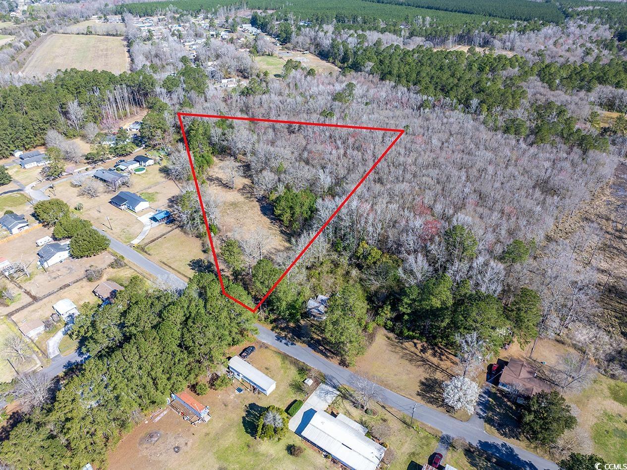 81 Freedom Rd., Andrews, South Carolina image 13