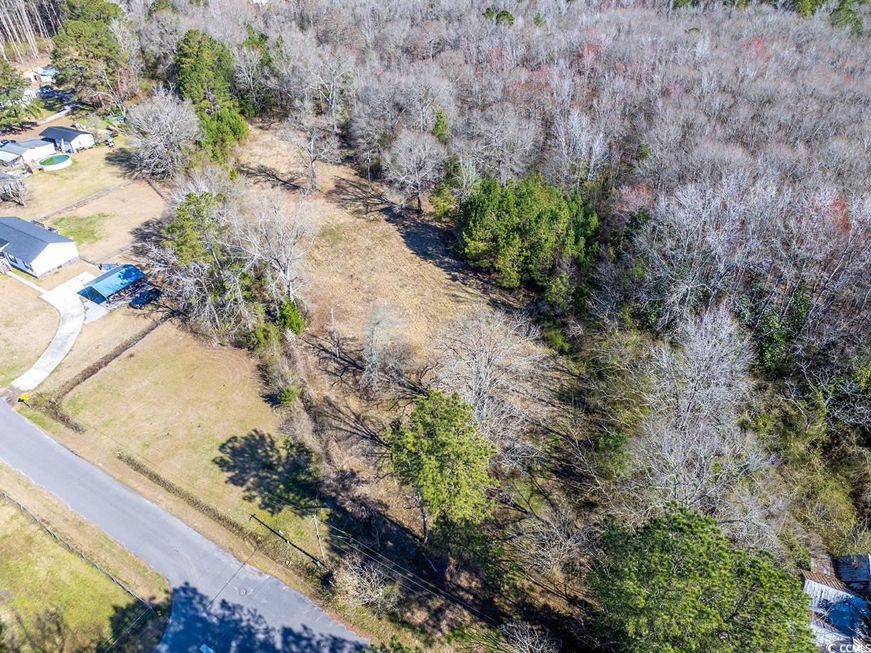 81 Freedom Rd., Andrews, South Carolina image 5