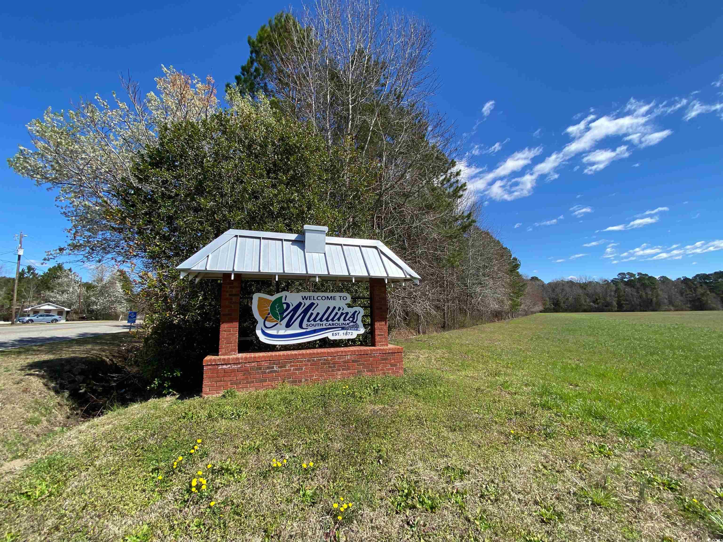 530 Yarboro St., Mullins, South Carolina image 40
