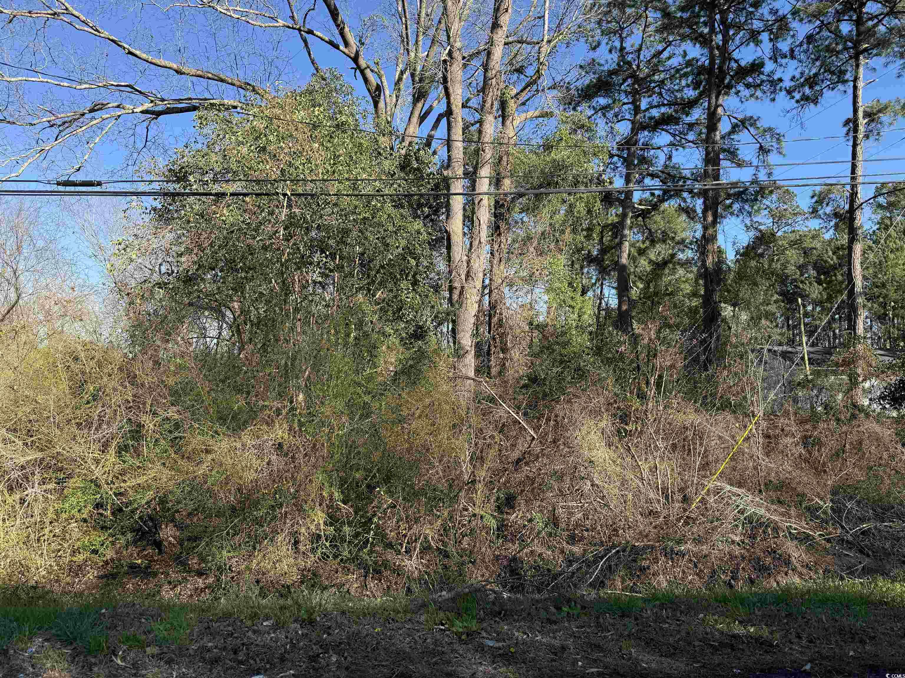TBD N Farr Ave. Andrews, SC 29510
