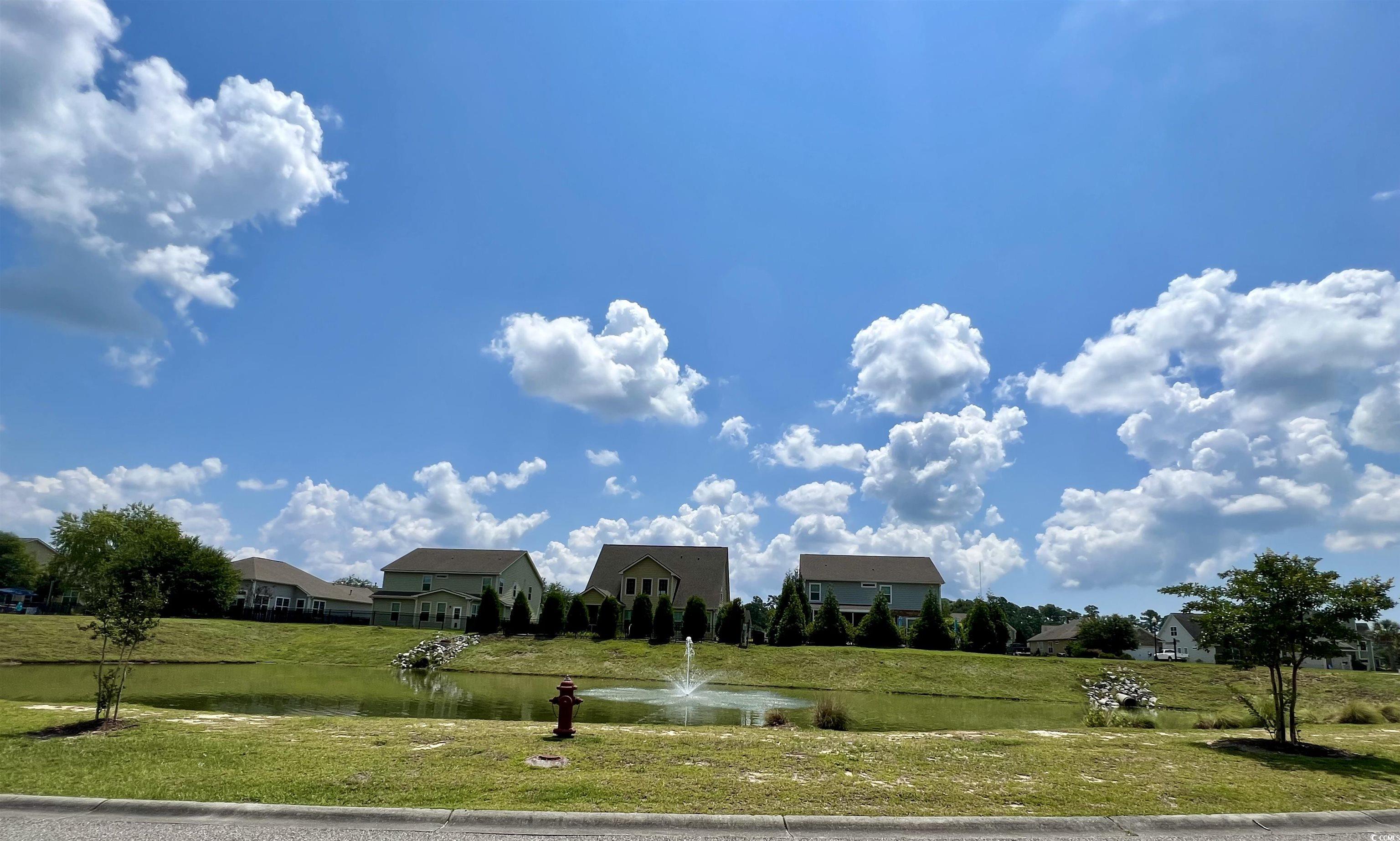 286 Rivers Edge Dr., Conway, South Carolina image 3