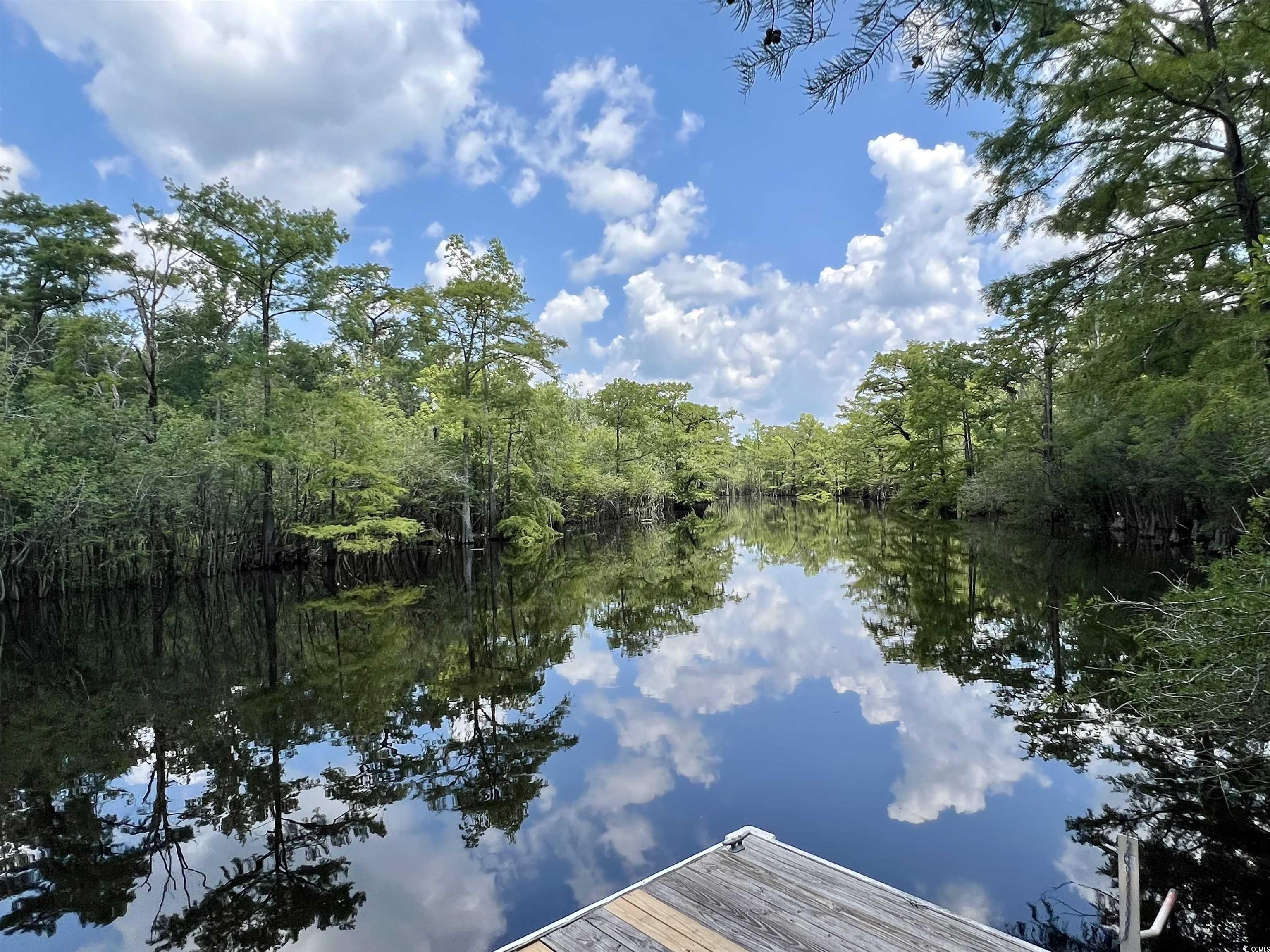 286 Rivers Edge Dr., Conway, South Carolina image 7
