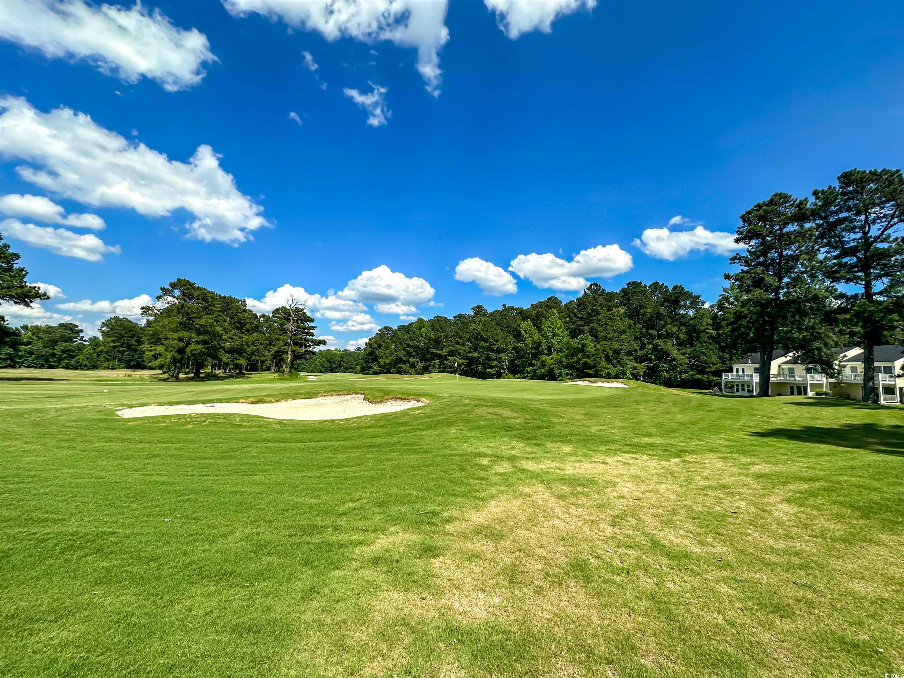 488 Greenview Dr. #1, Johnsonville, South Carolina image 26