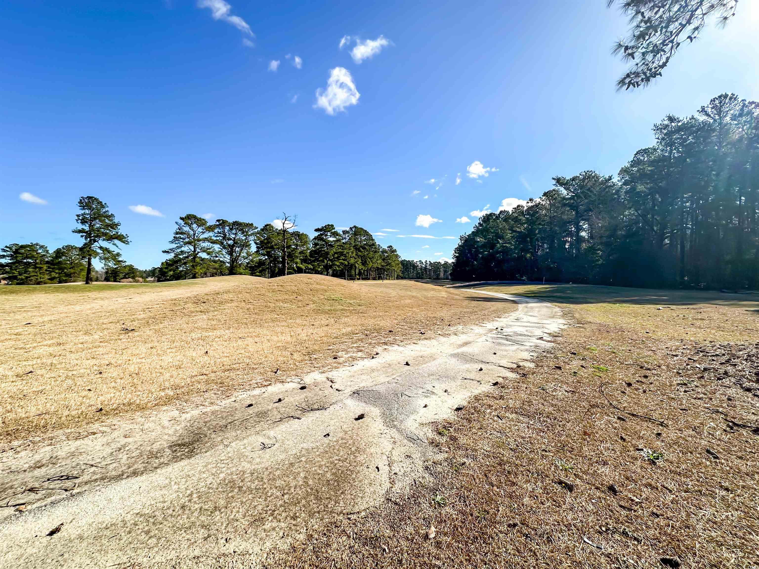 488 Greenview Dr. #1, Johnsonville, South Carolina image 30