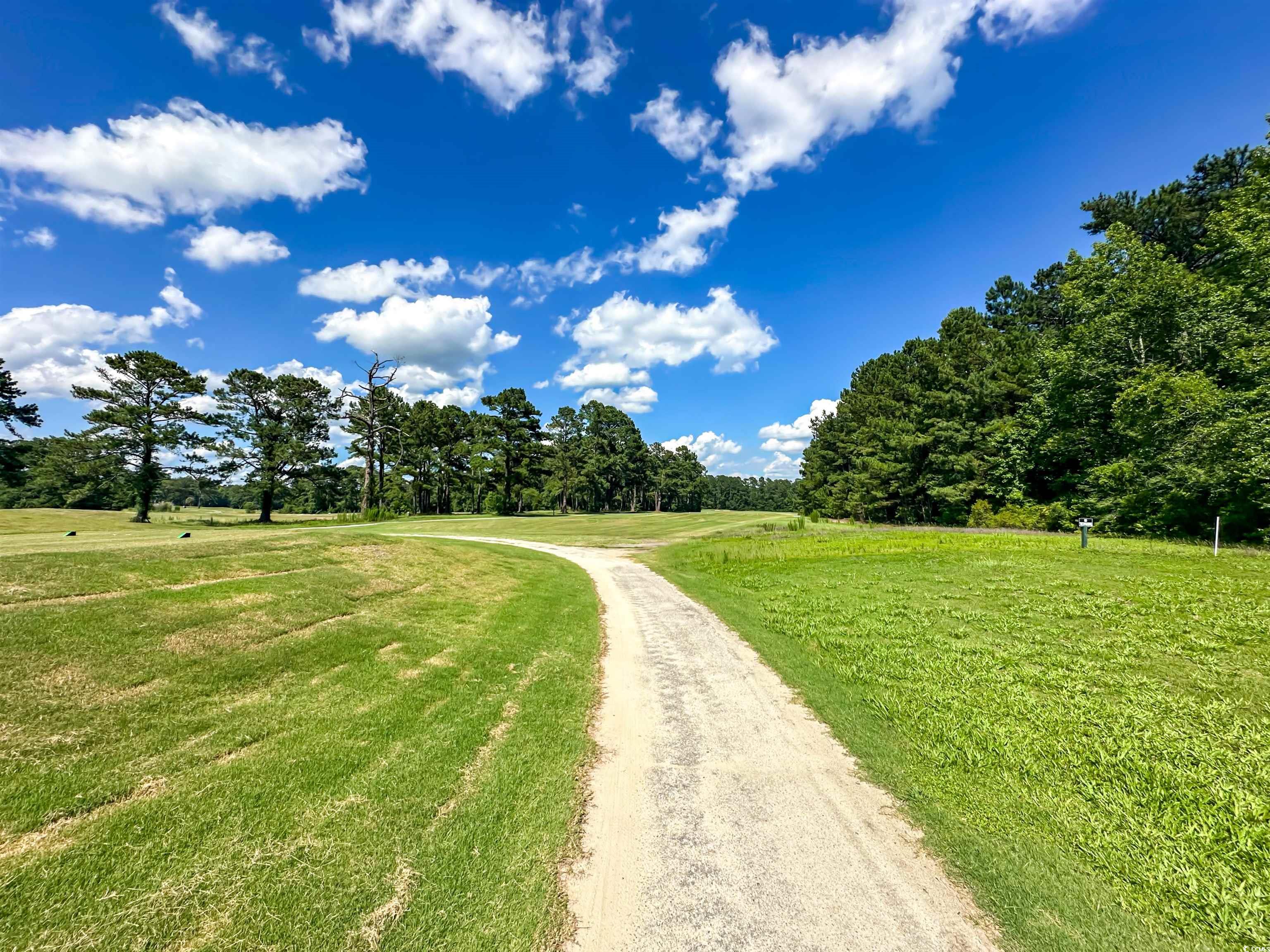 488 Greenview Dr. #1, Johnsonville, South Carolina image 30