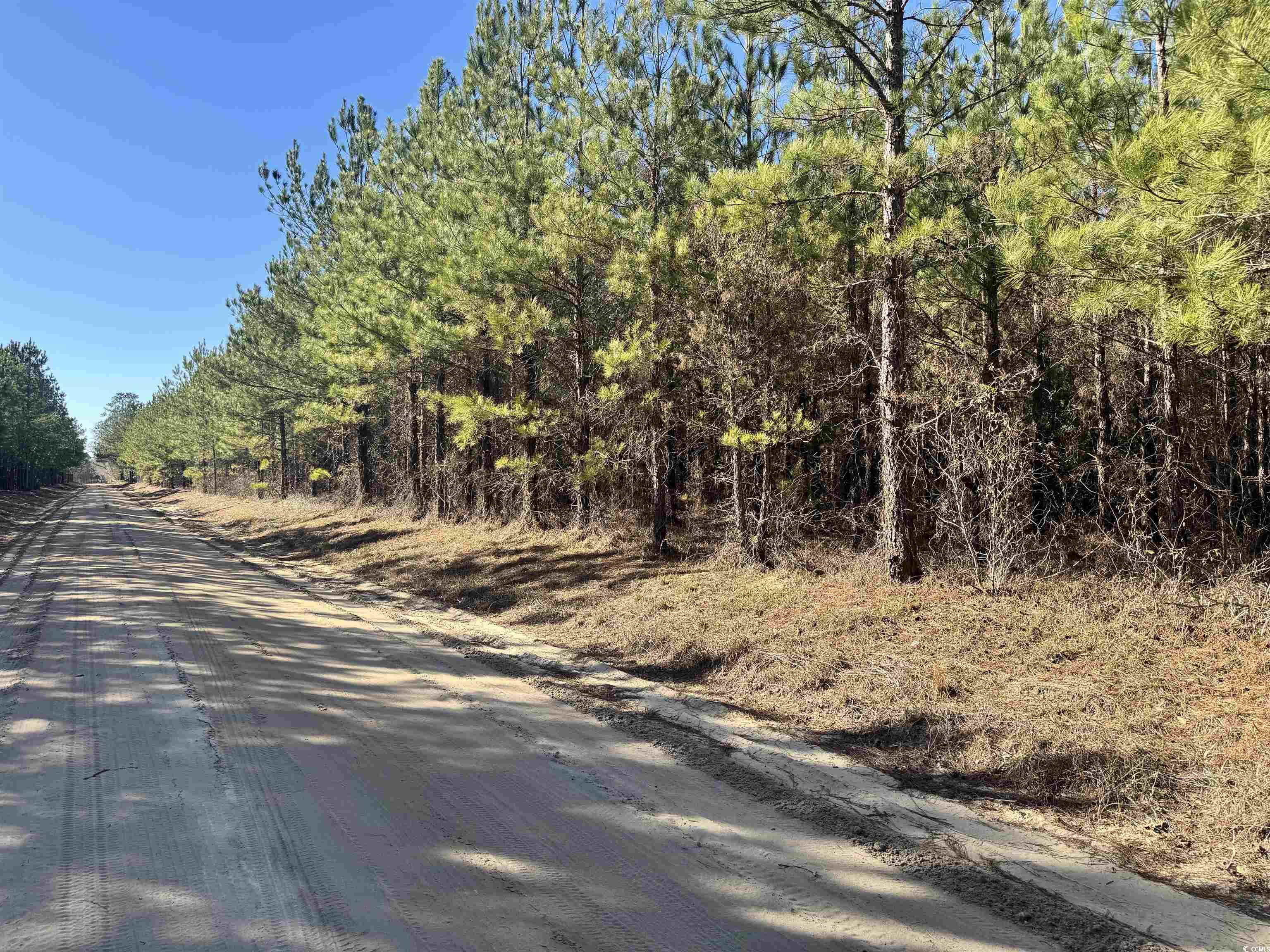 TBD Copeland Moody Rd., Marion, South Carolina image 10