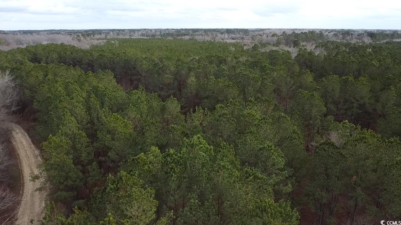 TBD Copeland Moody Rd., Marion, South Carolina image 11