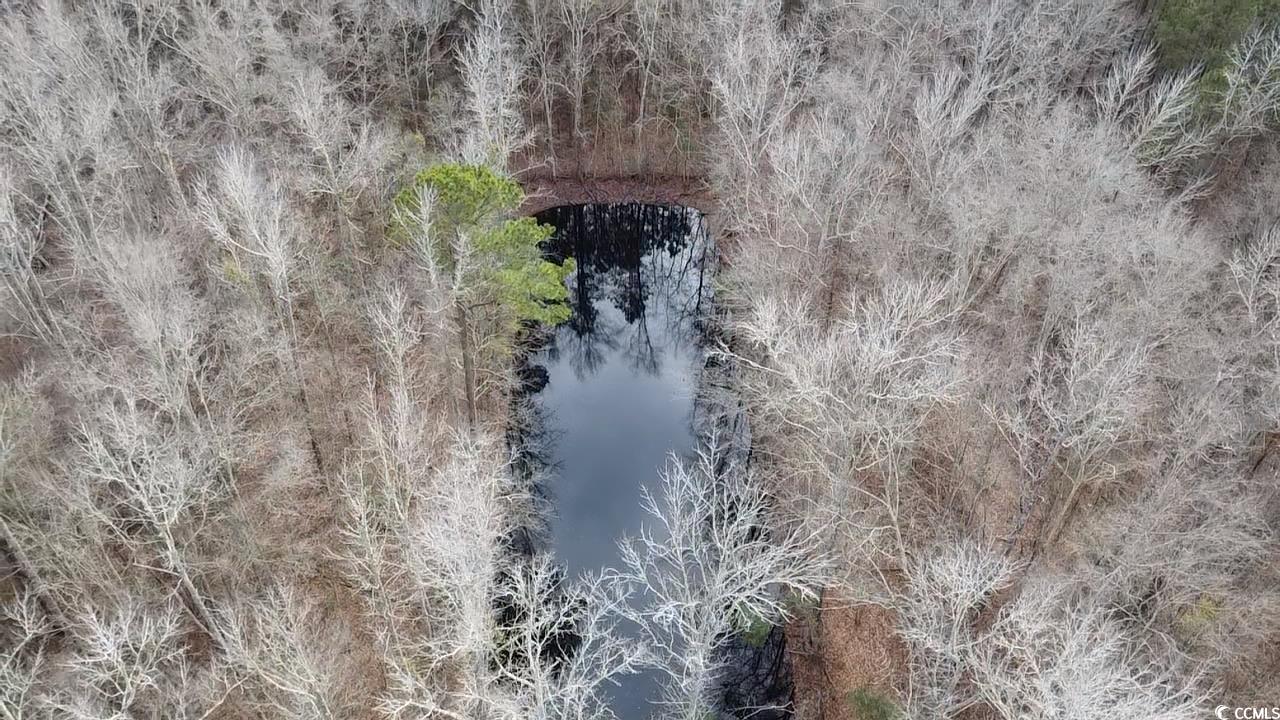 TBD Copeland Moody Rd., Marion, South Carolina image 12