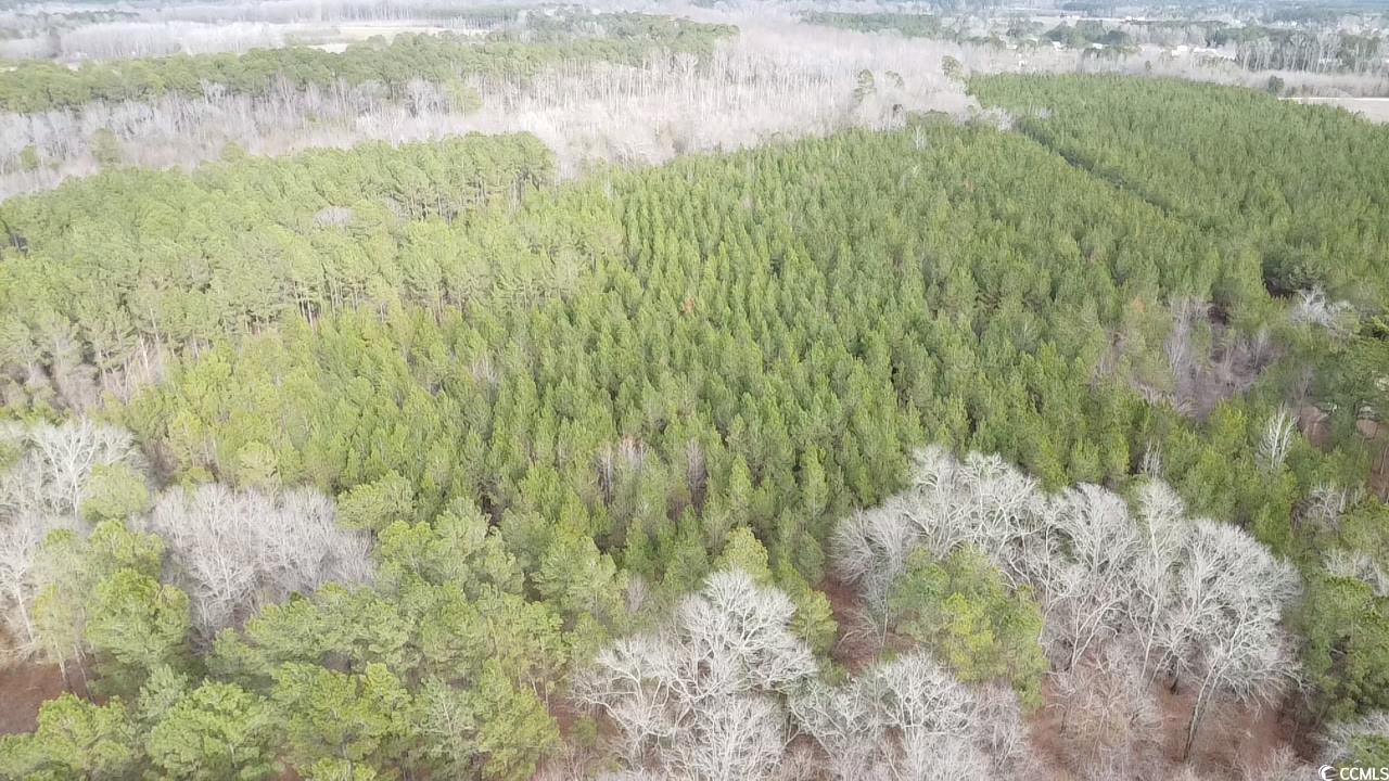 TBD Copeland Moody Rd., Marion, South Carolina image 14