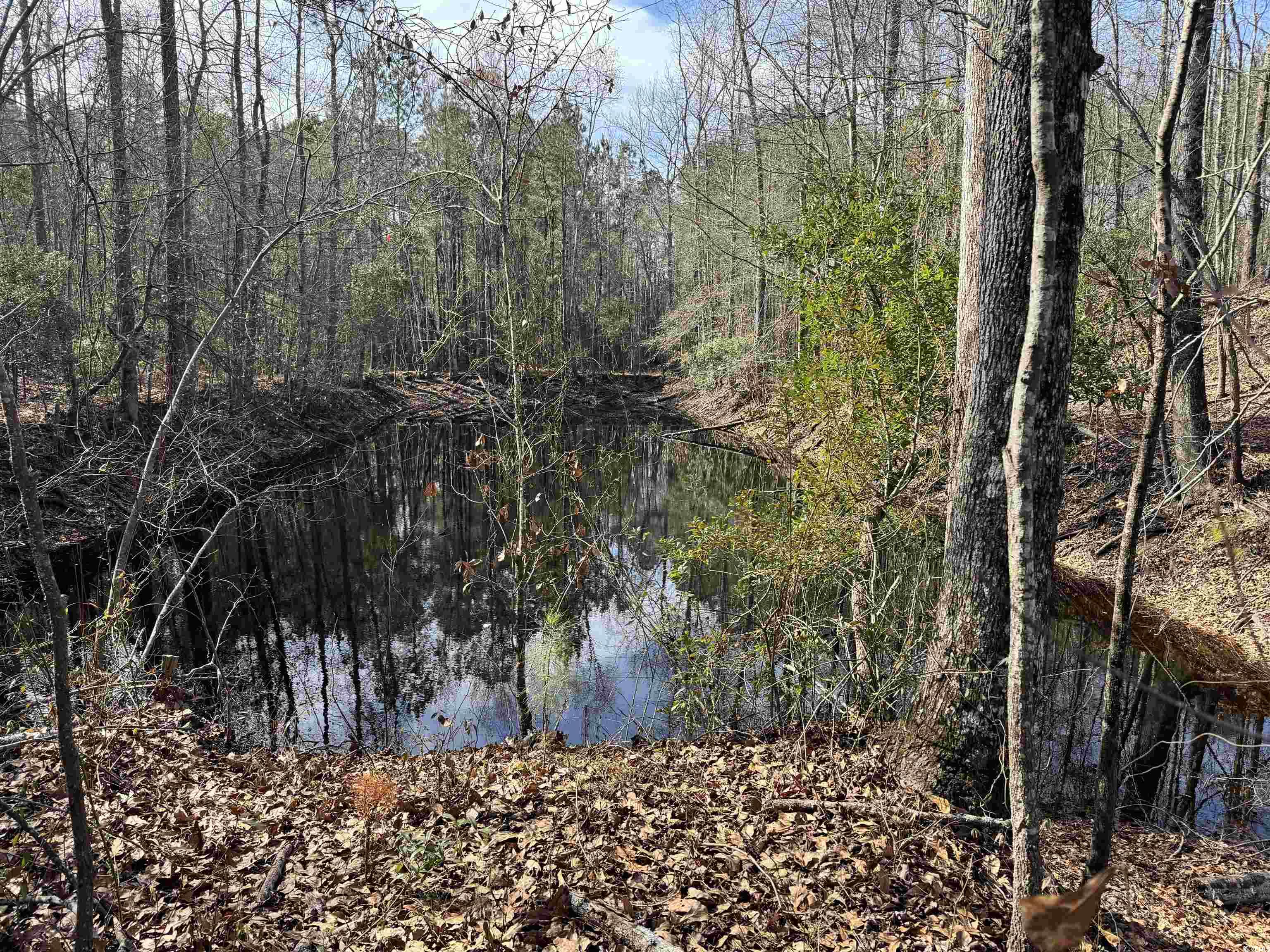 TBD Copeland Moody Rd., Marion, South Carolina image 2