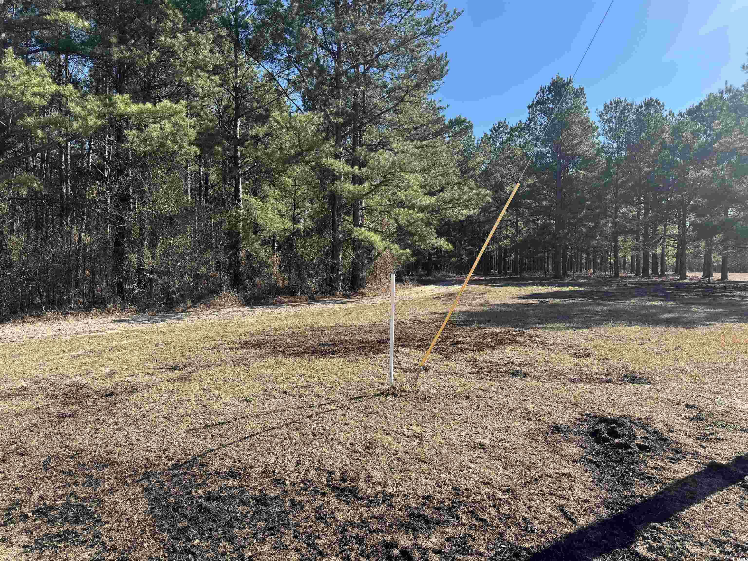 TBD Copeland Moody Rd., Marion, South Carolina image 6