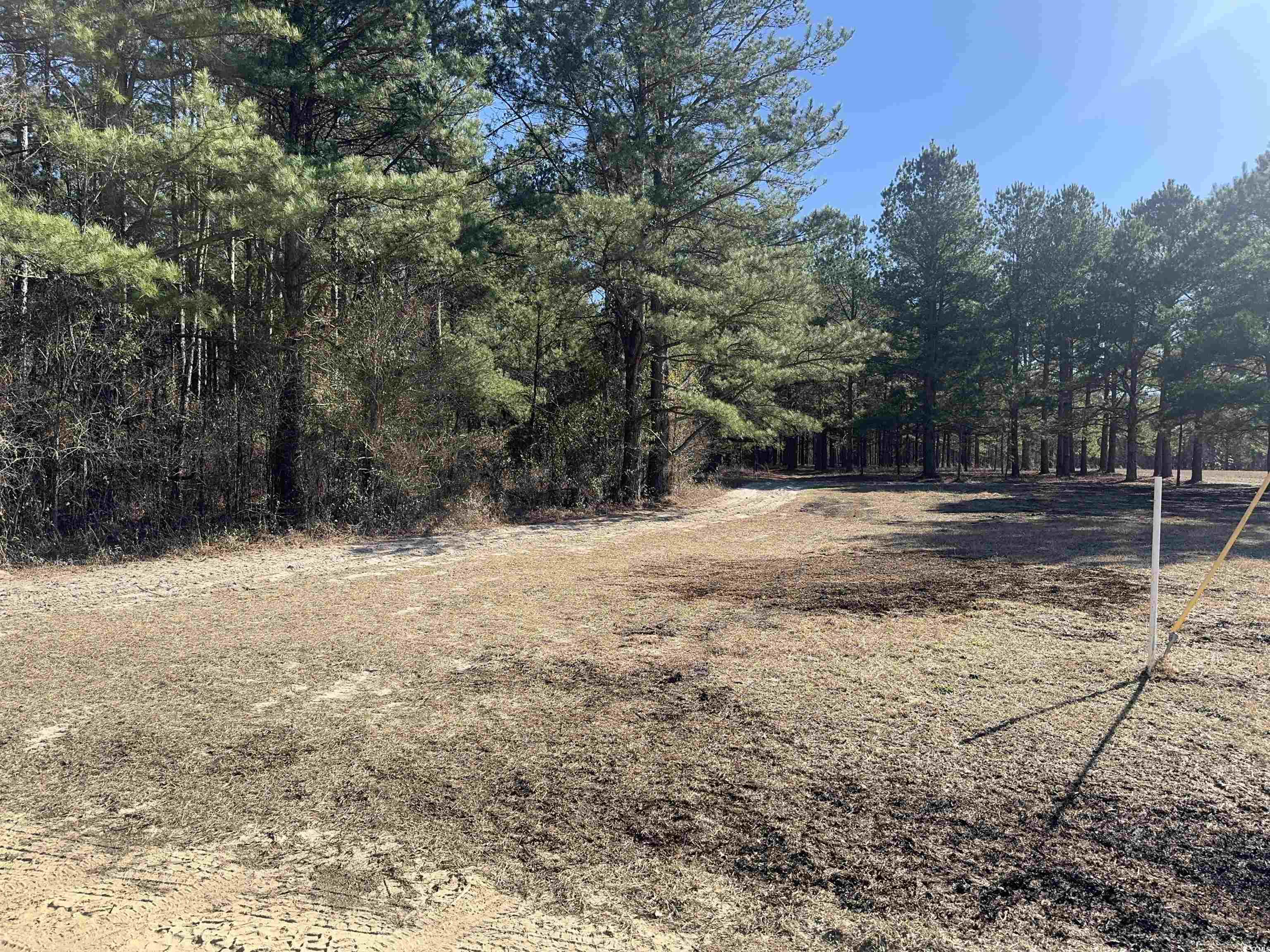 TBD Copeland Moody Rd., Marion, South Carolina image 7