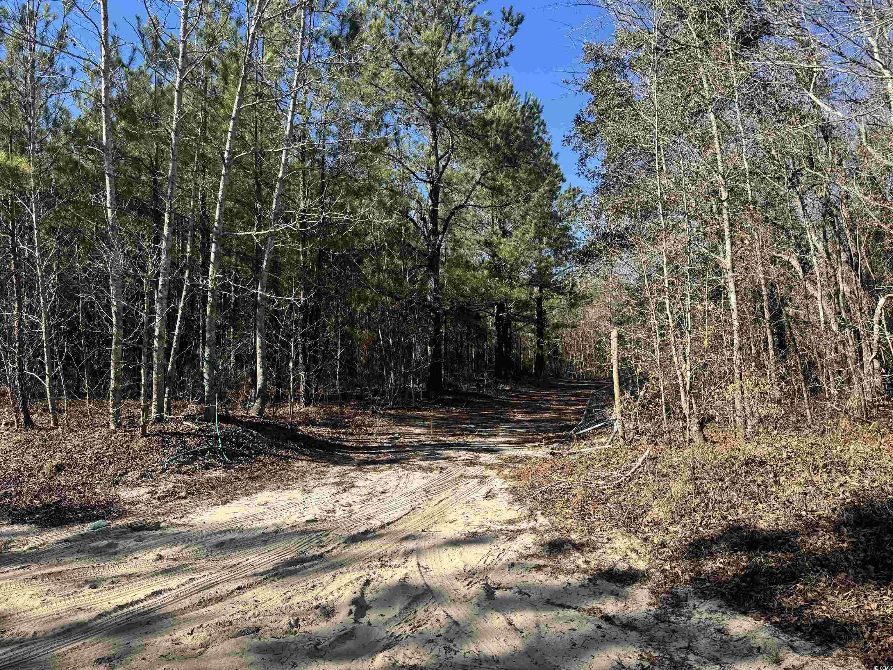 TBD Copeland Moody Rd., Marion, South Carolina image 9