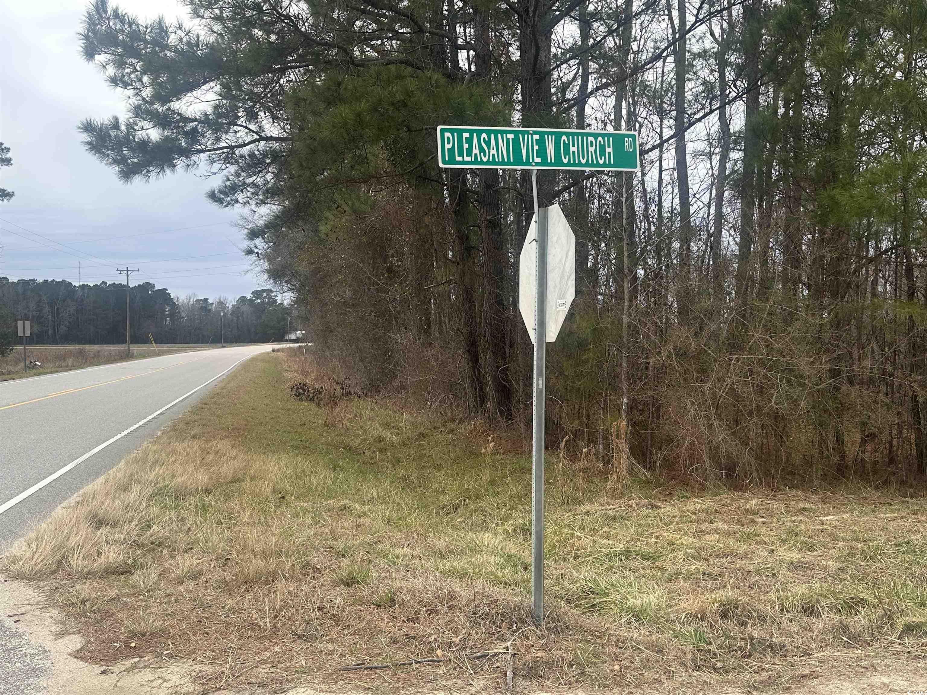 TBD Pleasant View Church Rd., Nichols, South Carolina image 1