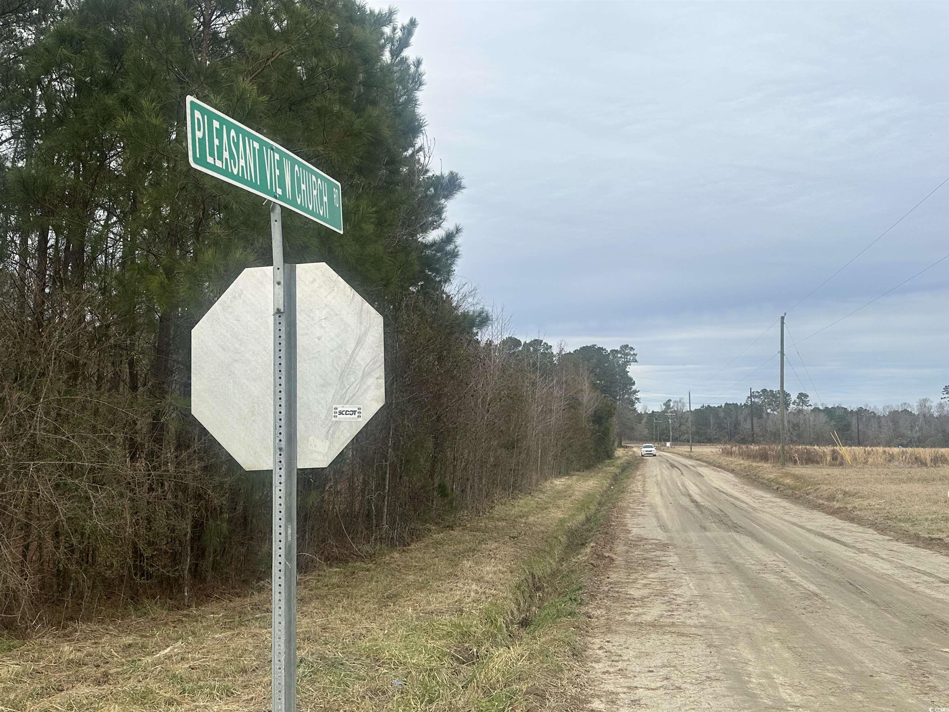 TBD Pleasant View Church Rd., Nichols, South Carolina image 2