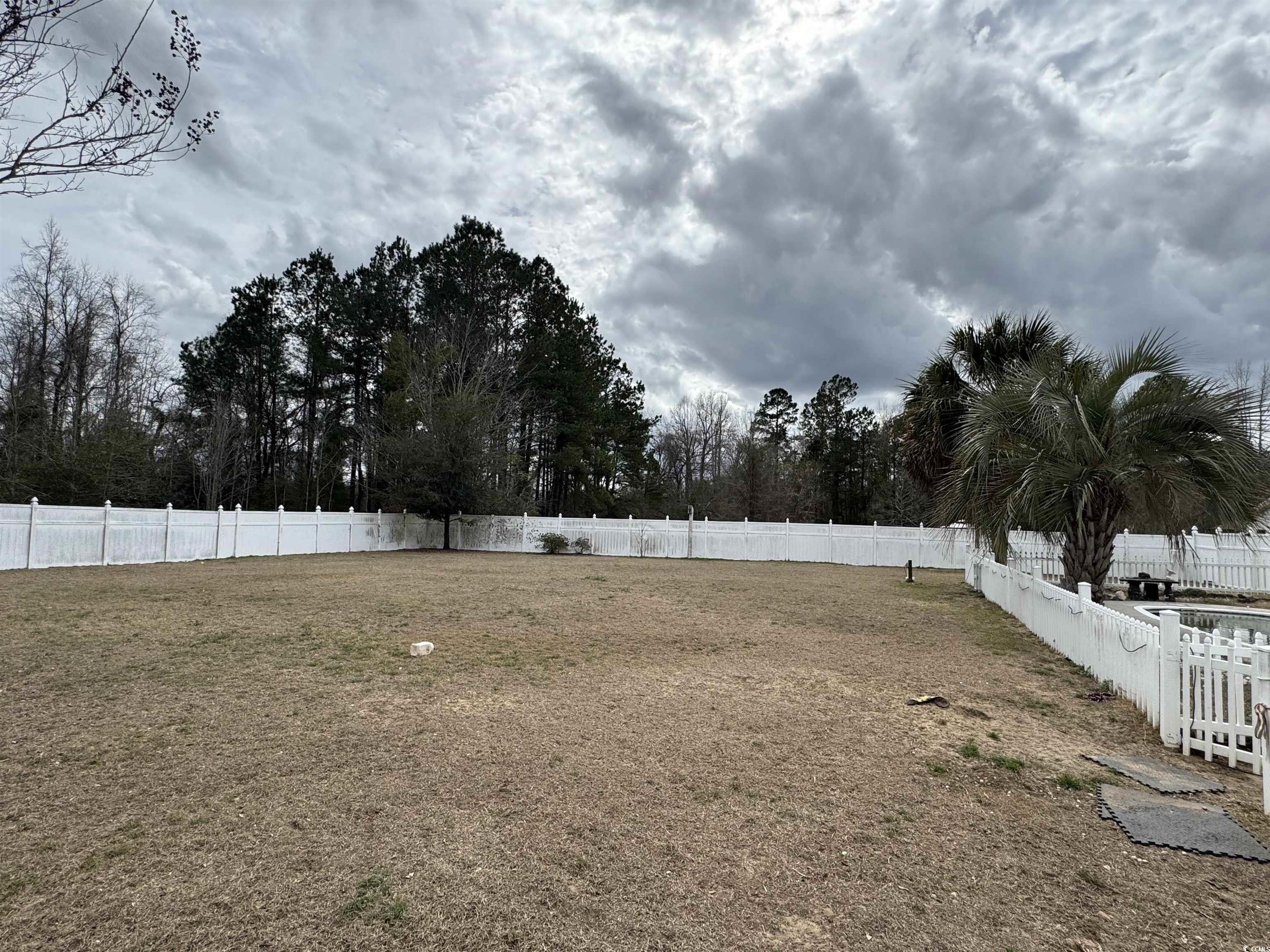 3156 Clearfield Rd., Galivants Ferry, South Carolina image 9