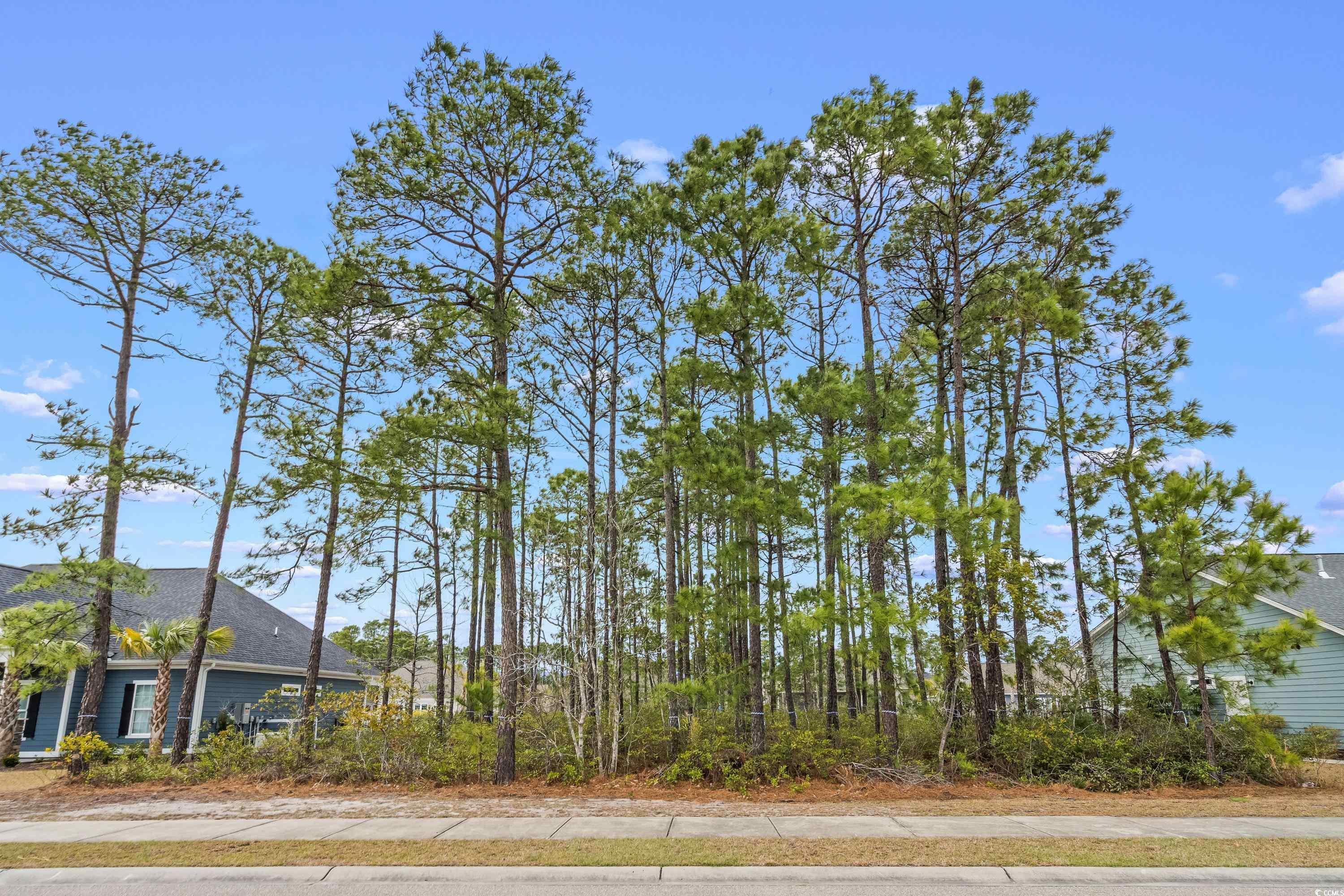 729 Jade Dr. Myrtle Beach, SC 29579