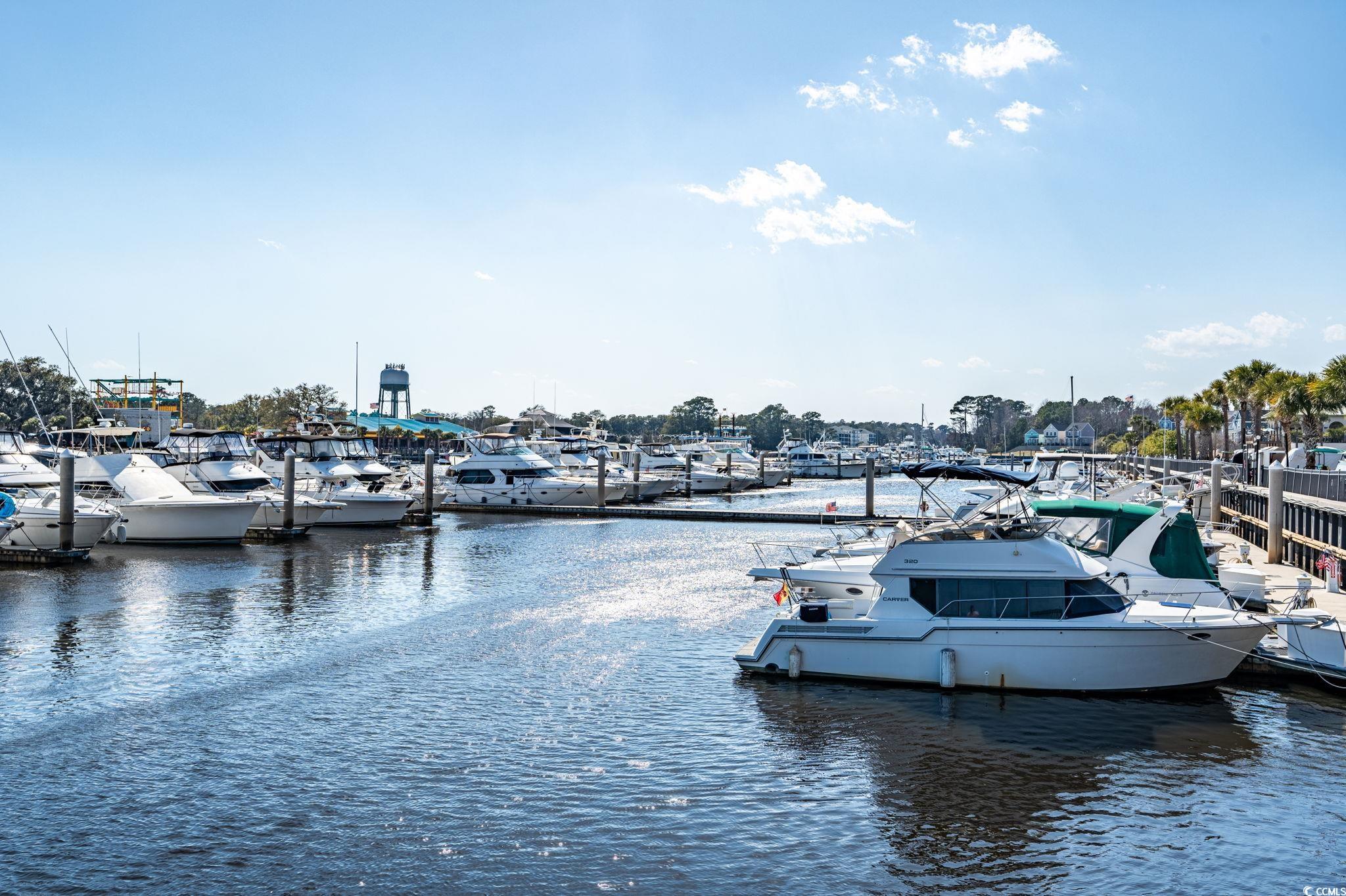 2151 Bridge View Ct. #2705, North Myrtle Beach, South Carolina image 31