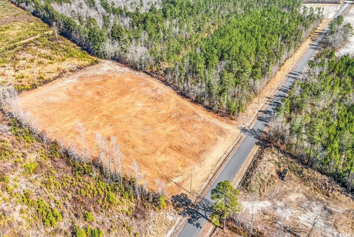 TBD Bellaire Dr., Nichols, South Carolina image 11