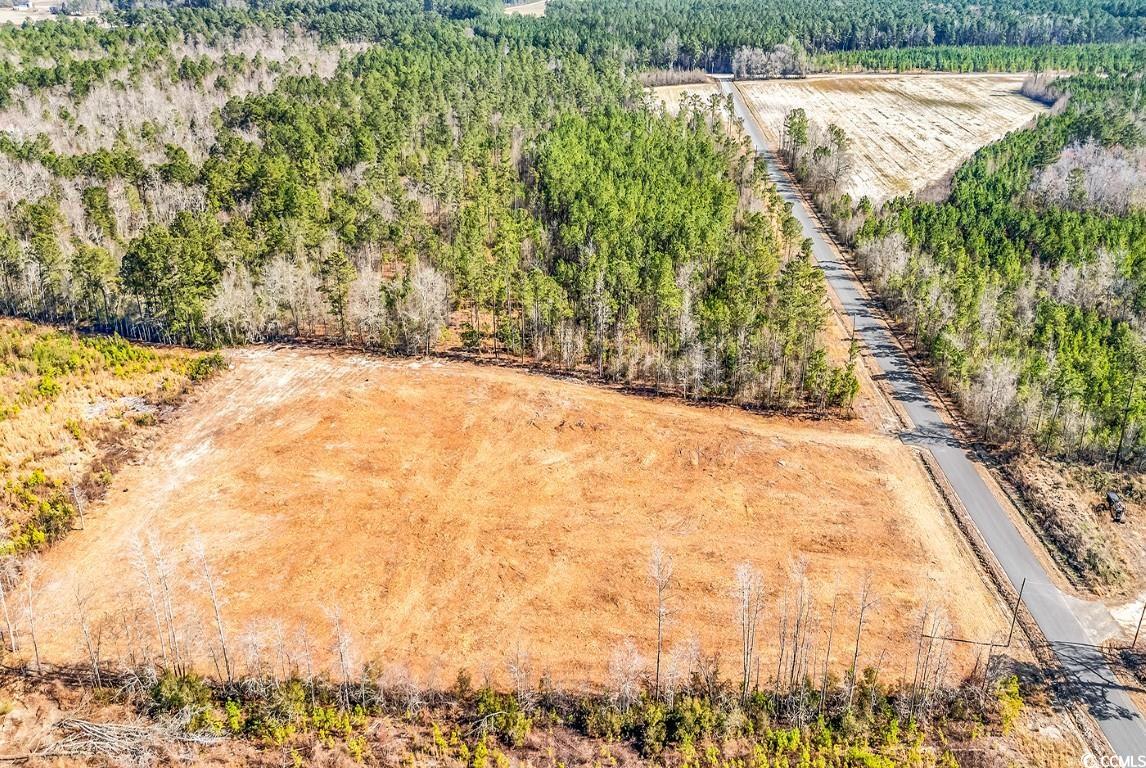 TBD Bellaire Dr., Nichols, South Carolina image 13