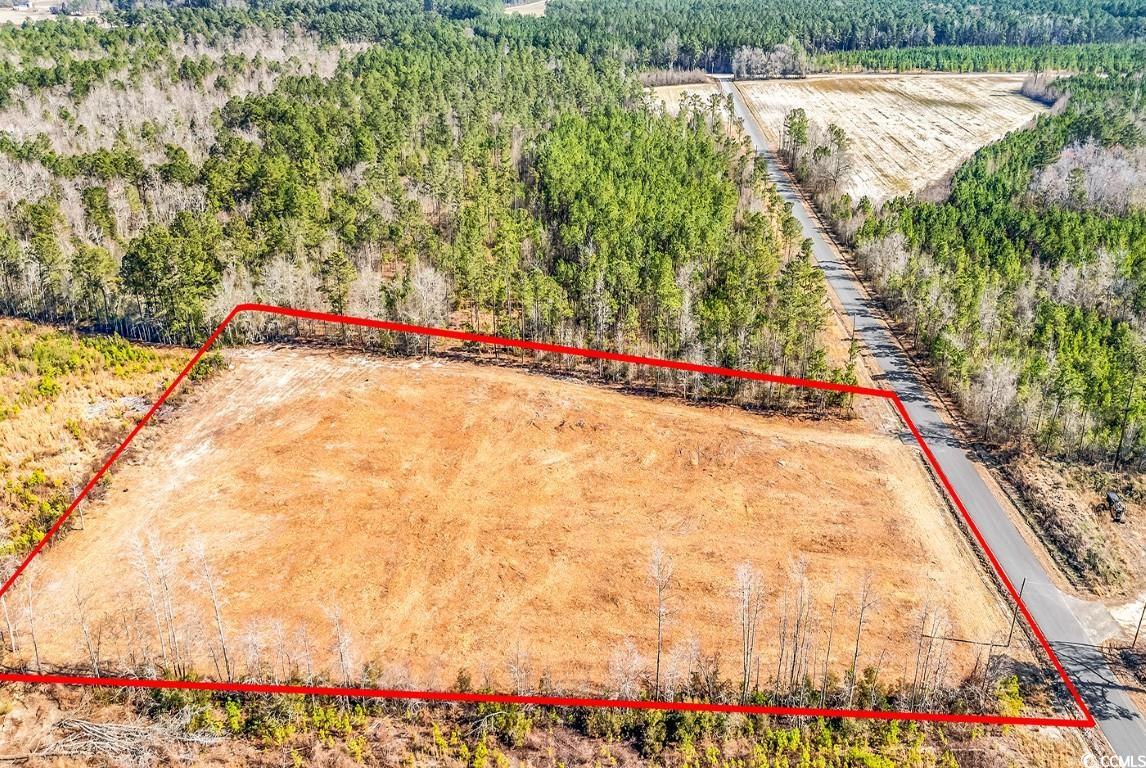 TBD Bellaire Dr., Nichols, South Carolina image 14