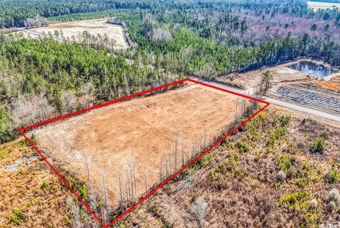 TBD Bellaire Dr., Nichols, South Carolina image 18