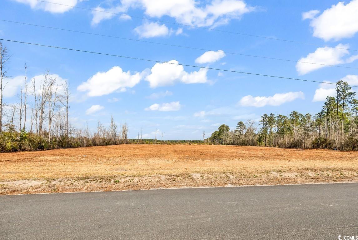 TBD Bellaire Dr., Nichols, South Carolina image 3