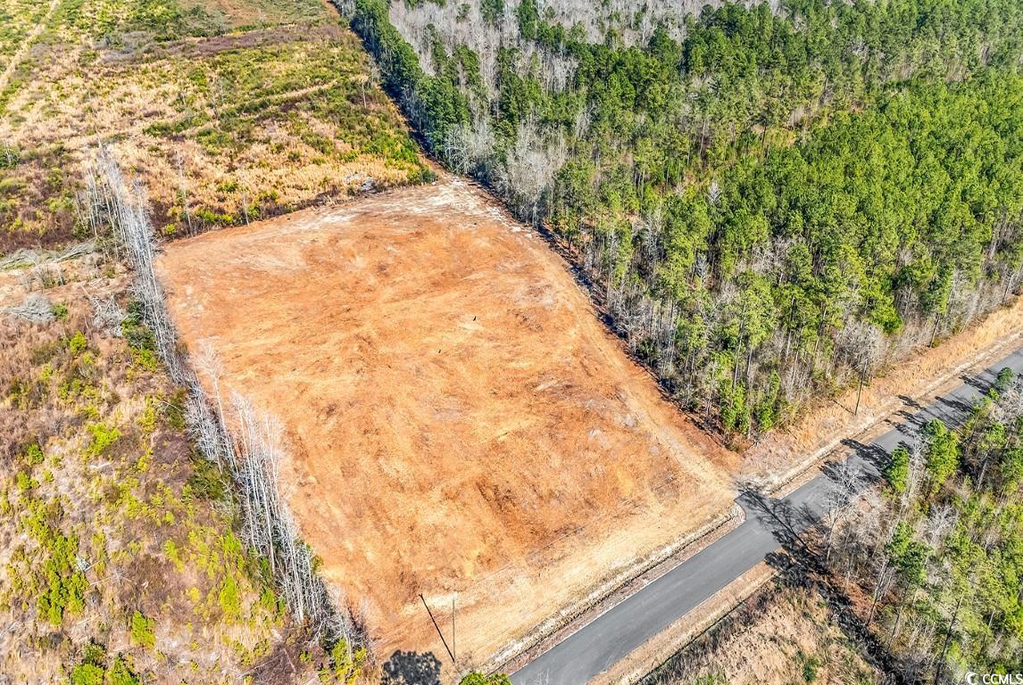 TBD Bellaire Dr., Nichols, South Carolina image 9