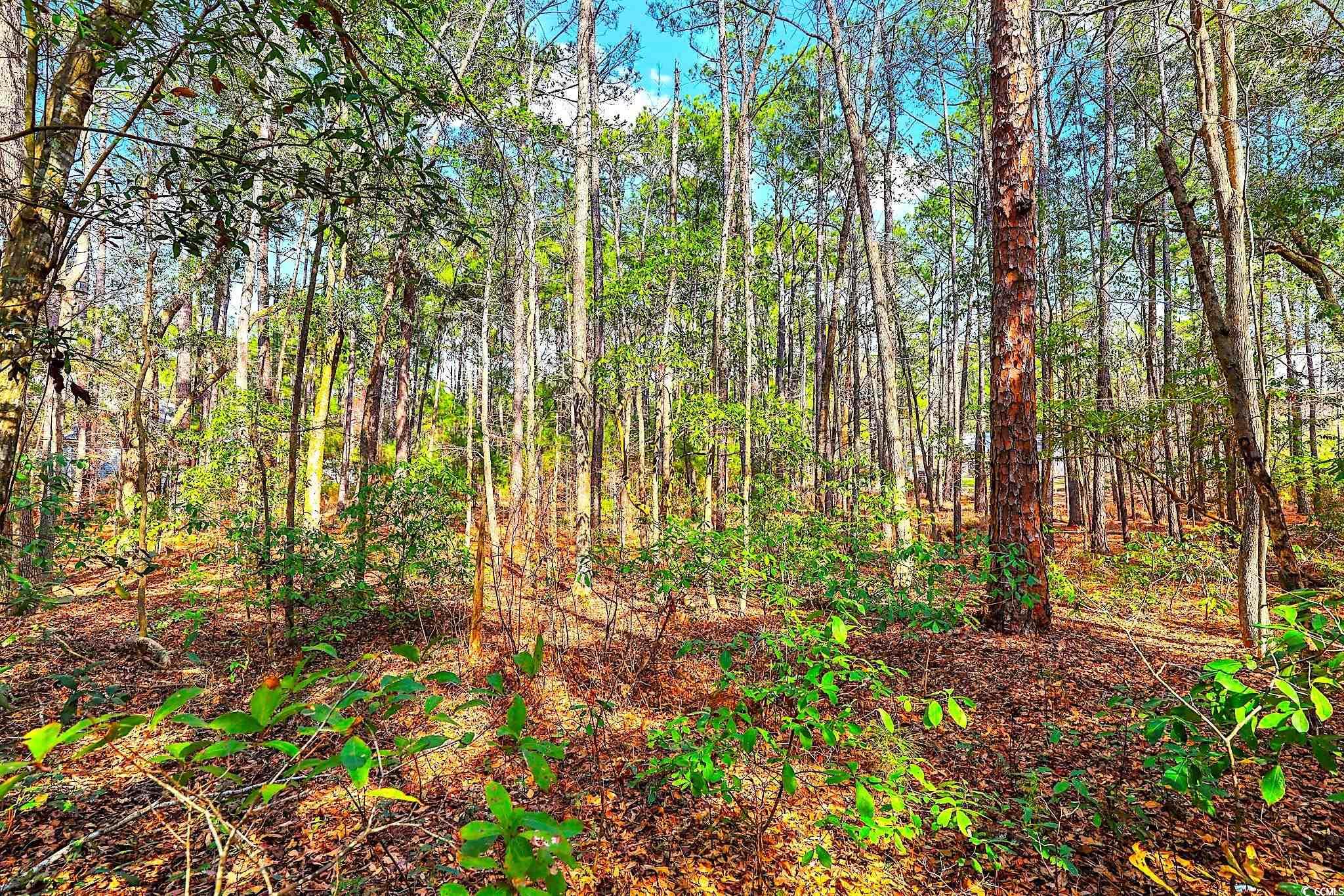 138 Middle Rd., Beaufort, South Carolina image 6