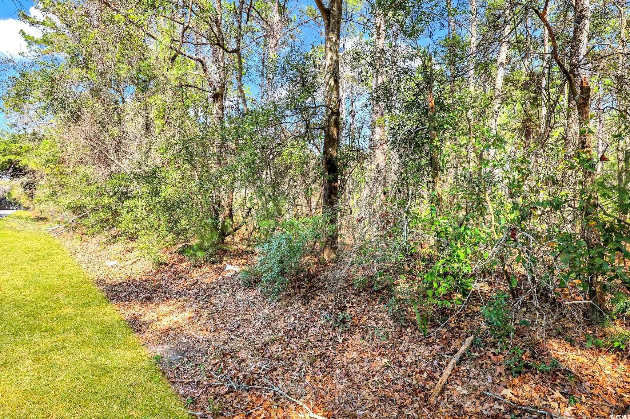 138 Middle Rd., Beaufort, South Carolina image 7