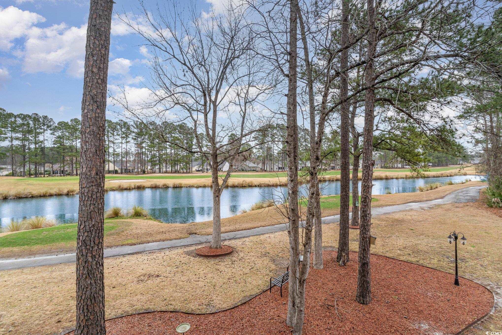 242 Sun Colony Blvd. #203, Longs, South Carolina image 25