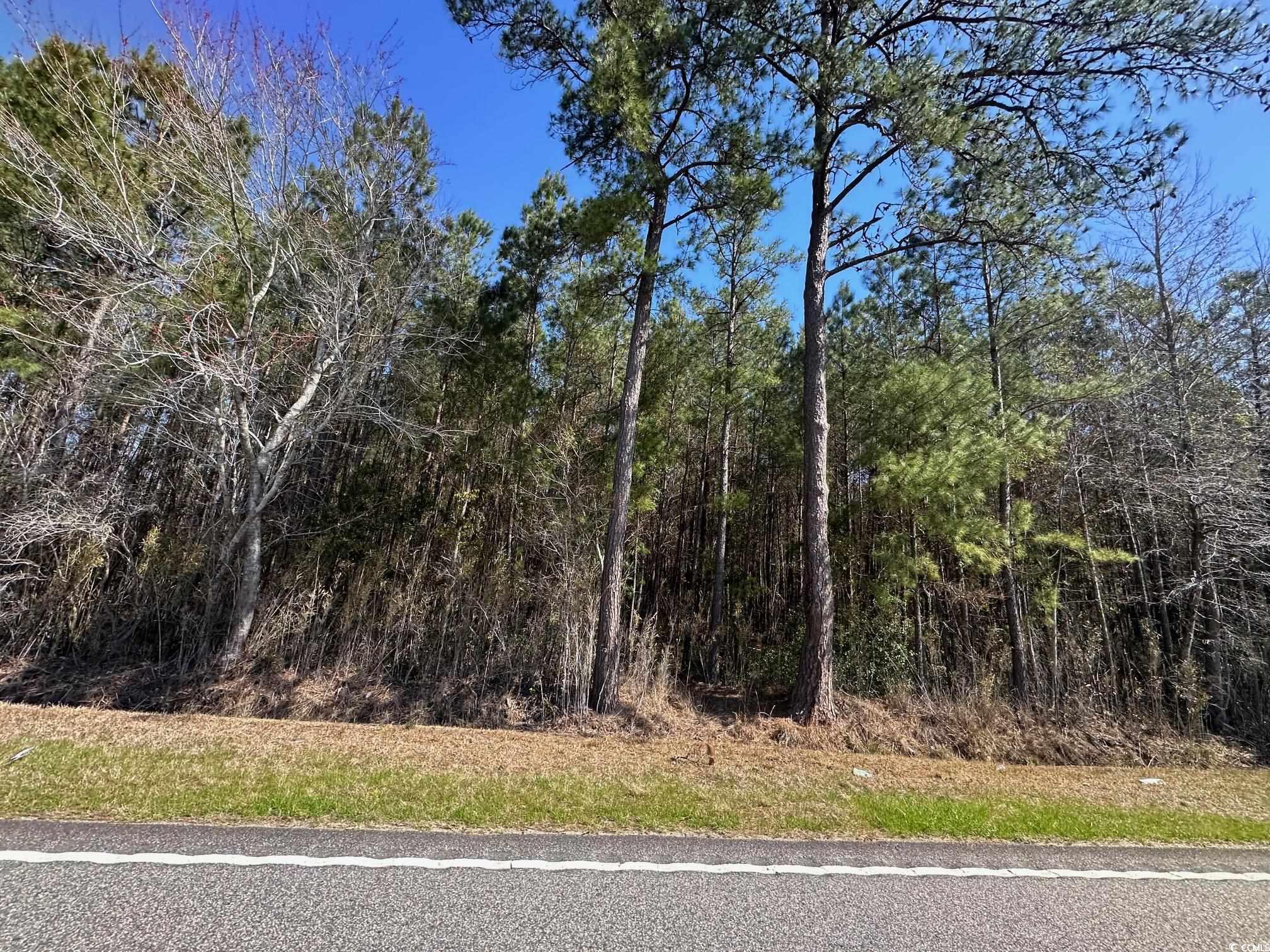 TBD Joyner Swamp Rd., Galivants Ferry, South Carolina image 1