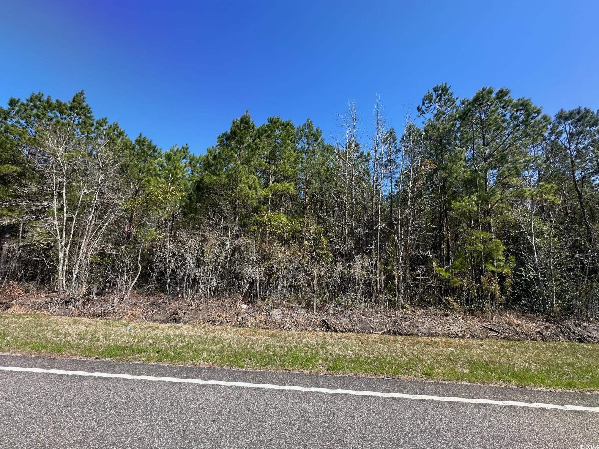 TBD Joyner Swamp Rd., Galivants Ferry, South Carolina image 2