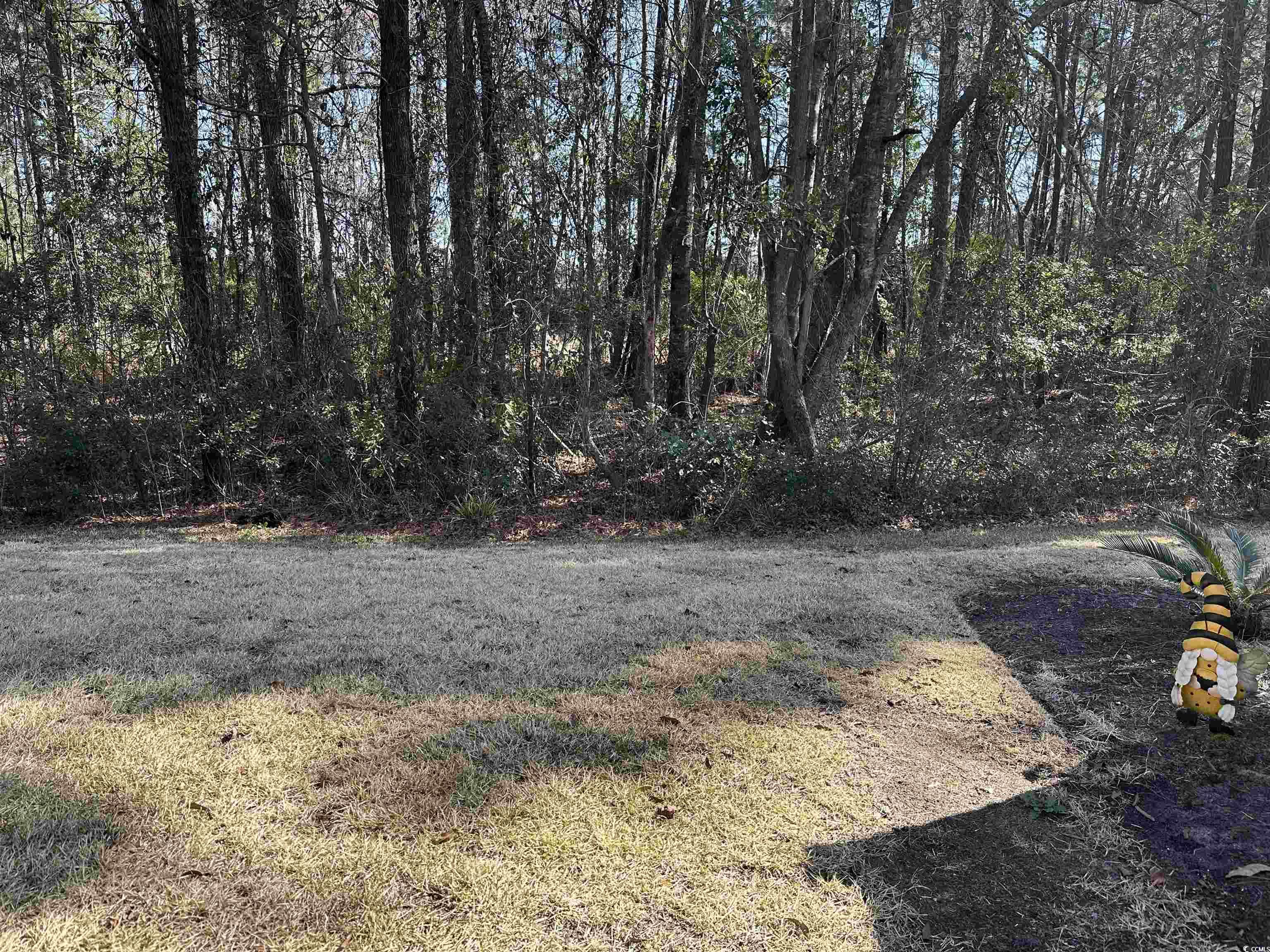 721 Painted Bunting Ct. #C, Murrells Inlet, South Carolina image 20