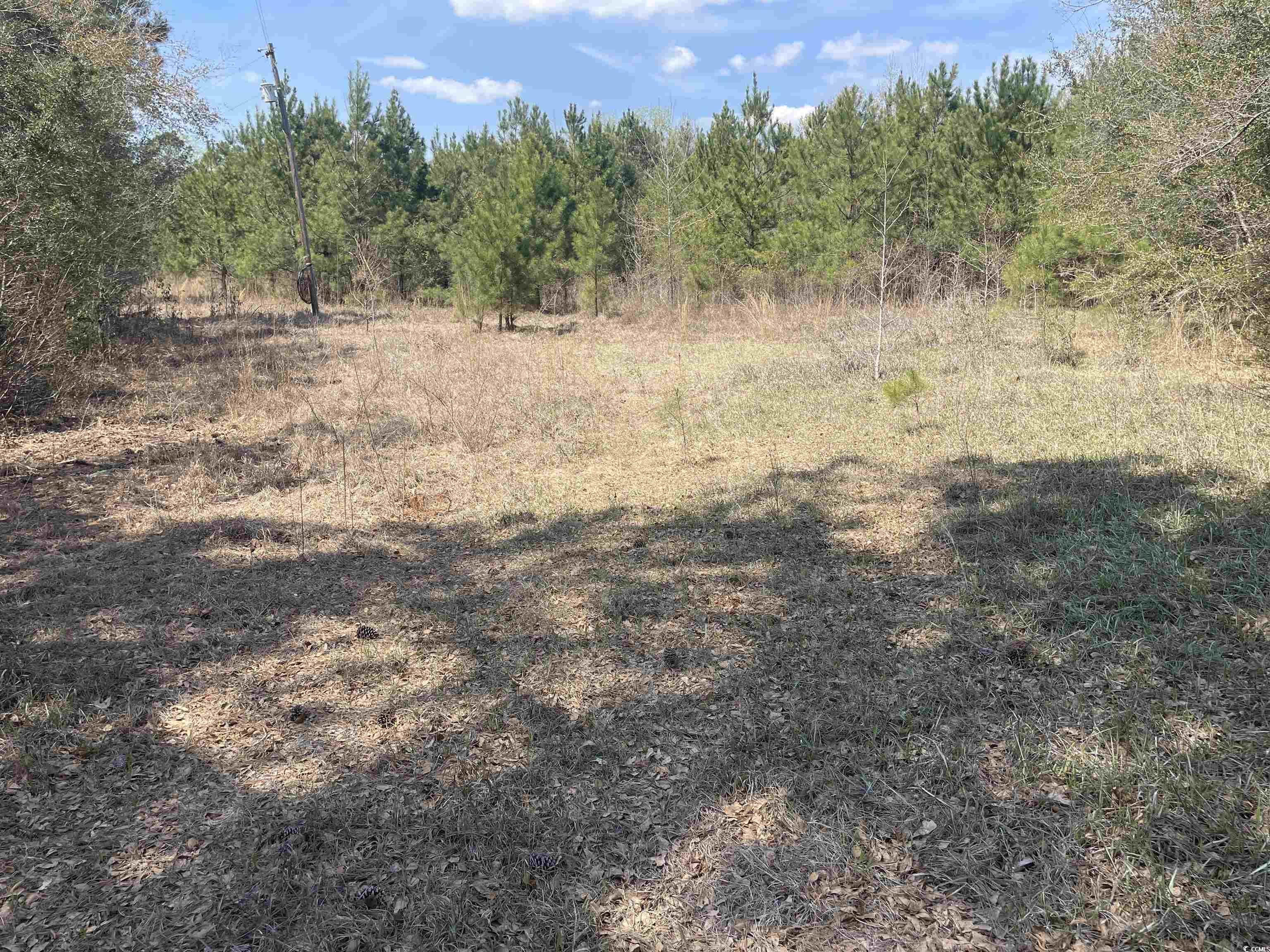 TBD Hayfield Rd. Georgetown, SC 29440