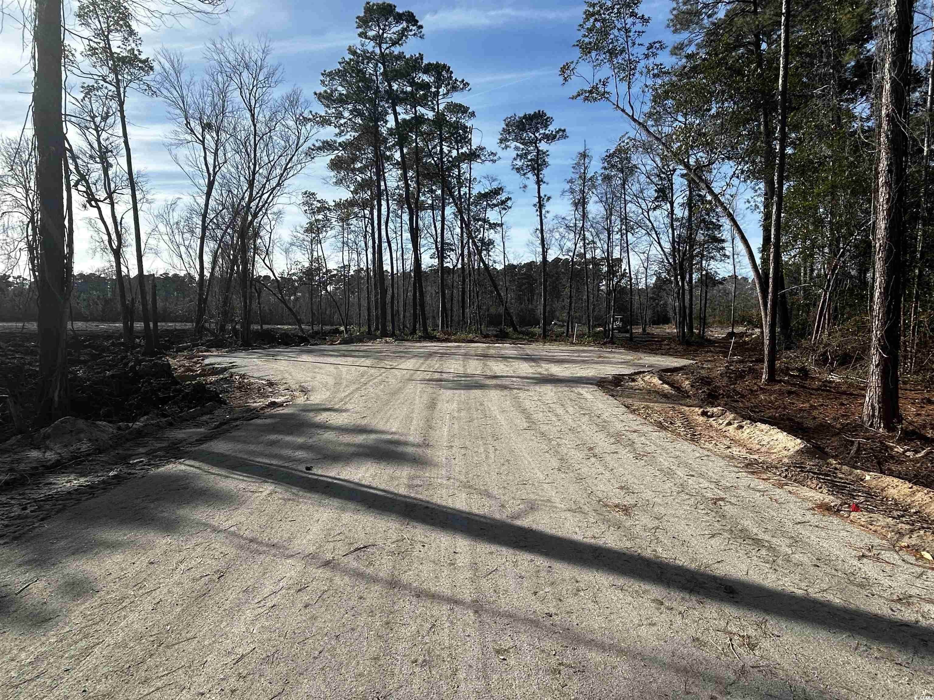 Lot 1 Harvey Rd., Loris, South Carolina image 2