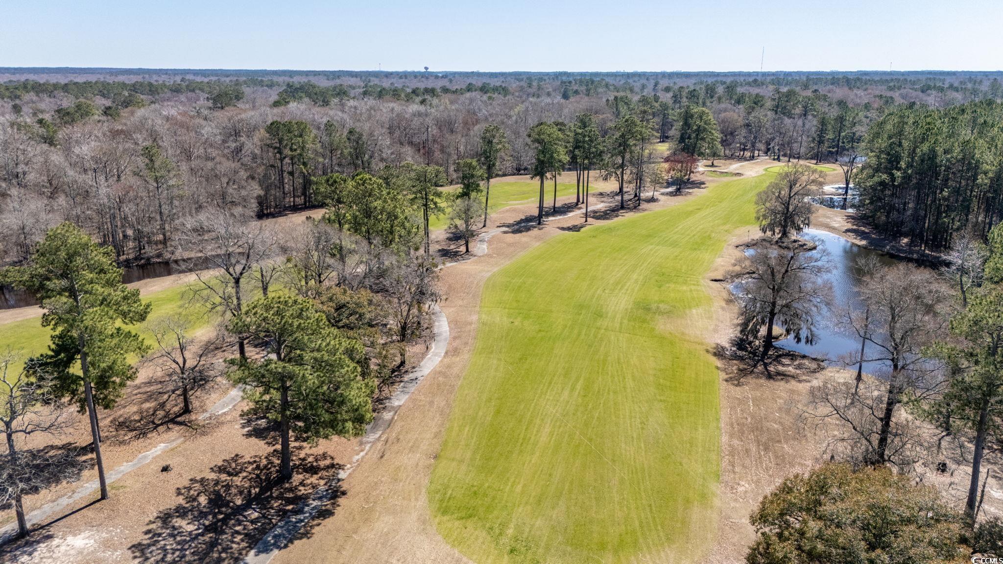 693 Tupelo Ln. #23D, Longs, South Carolina image 21