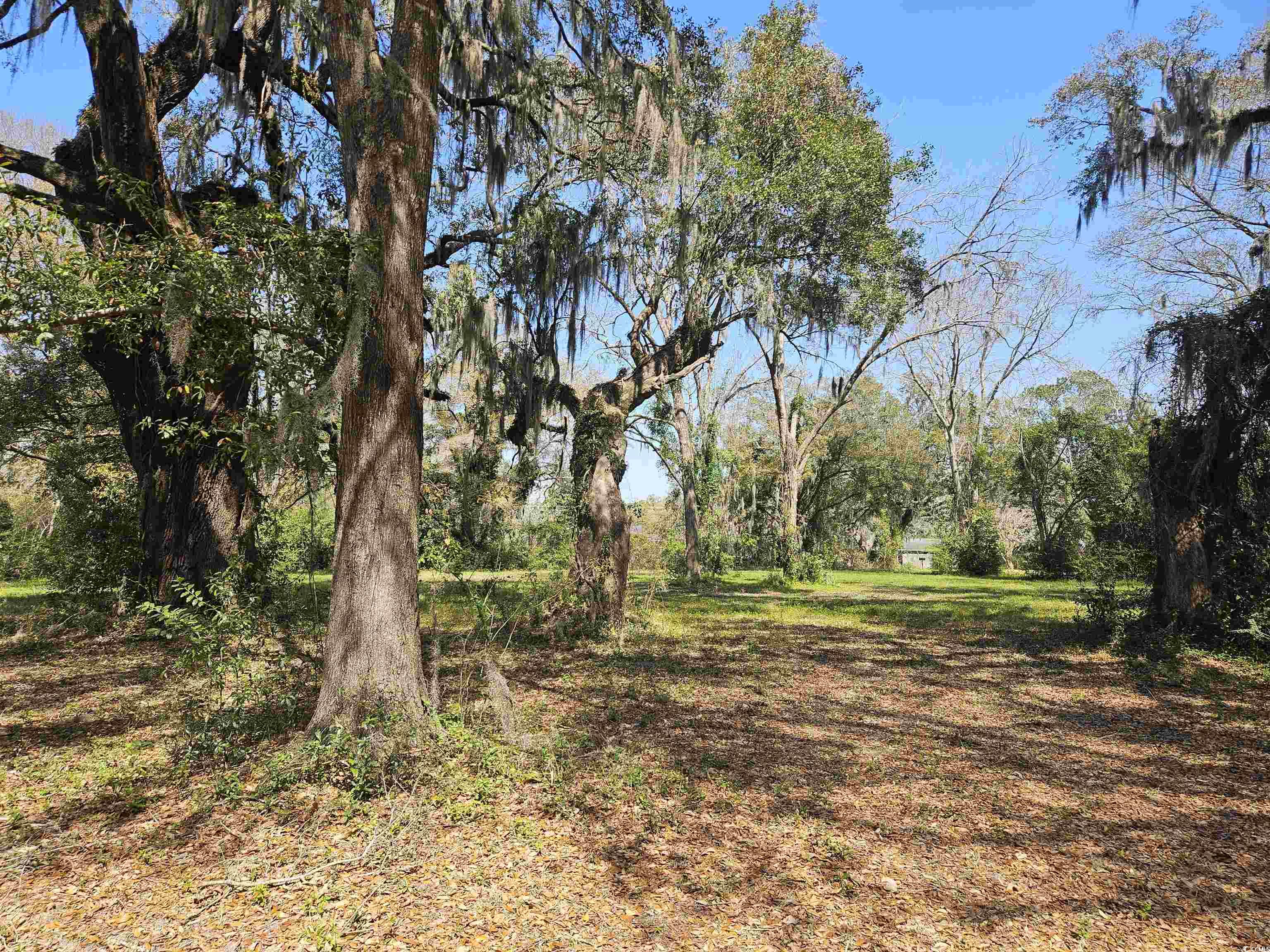 155 Waterford Dr. Georgetown, SC 29440