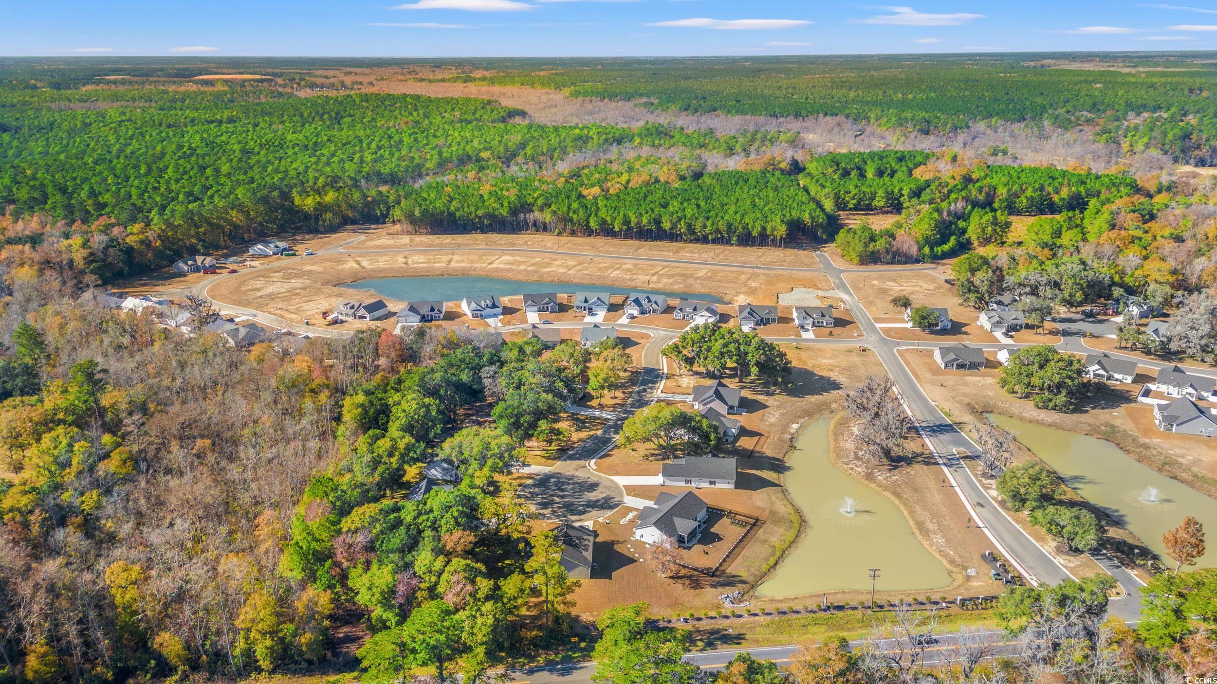 261 Six Mile Creek Dr., Georgetown, South Carolina image 24