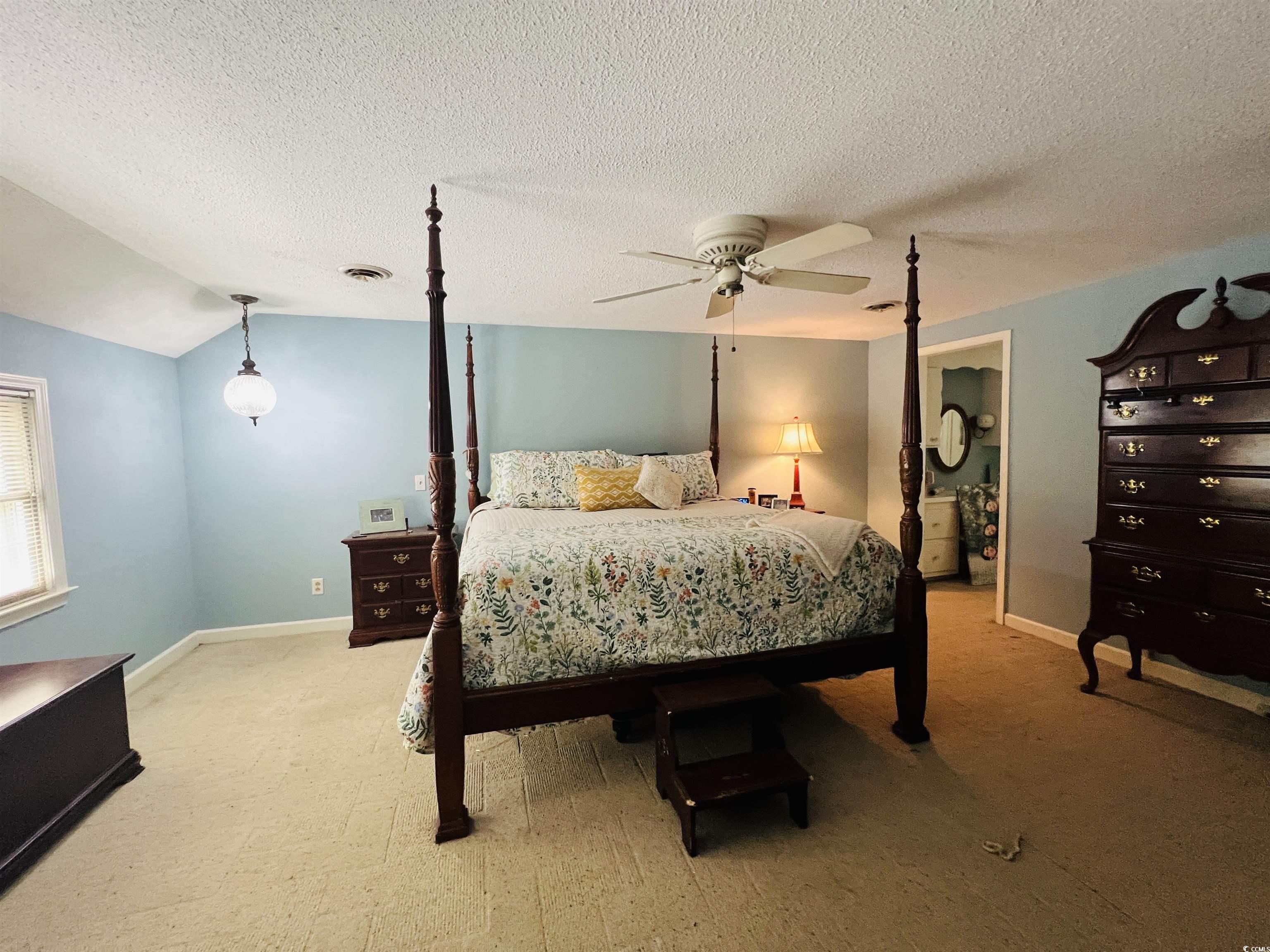 873 Sumter Hwy., Kingstree, South Carolina image 20